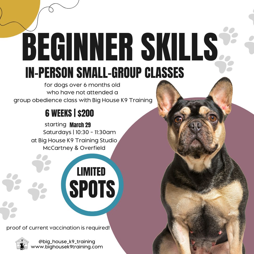 š« Jumping, barking, pulling on leash... sound familiar? Struggling with a pup who gets way too excited around other dogs? š
Your dog can learn to stay calm and focused ā even around other dogs! š¶āØ
Our Beginner Skills small-group class is the perfect way to teach your pup impulse control, obedience, and manners ā even around other dogs ā using gentle, science-backed positive reinforcement training. š¾
āļø Beat the summer heat and train in the comfort of our indoor studio!
š Class starts THIS Saturday!
š 6 weeks | Saturdays 10:30ā11:30am
š Big House K9 Studio (McCartney & Overfield)
š² $200
šØ Only a couple spots left!
Ready to see real progress with your pup?
š Call us at 520-840-5052
š¬ Or send us a DM to grab your spot!
Letās help your dog become the well-mannered family companion you know they can be. š¾