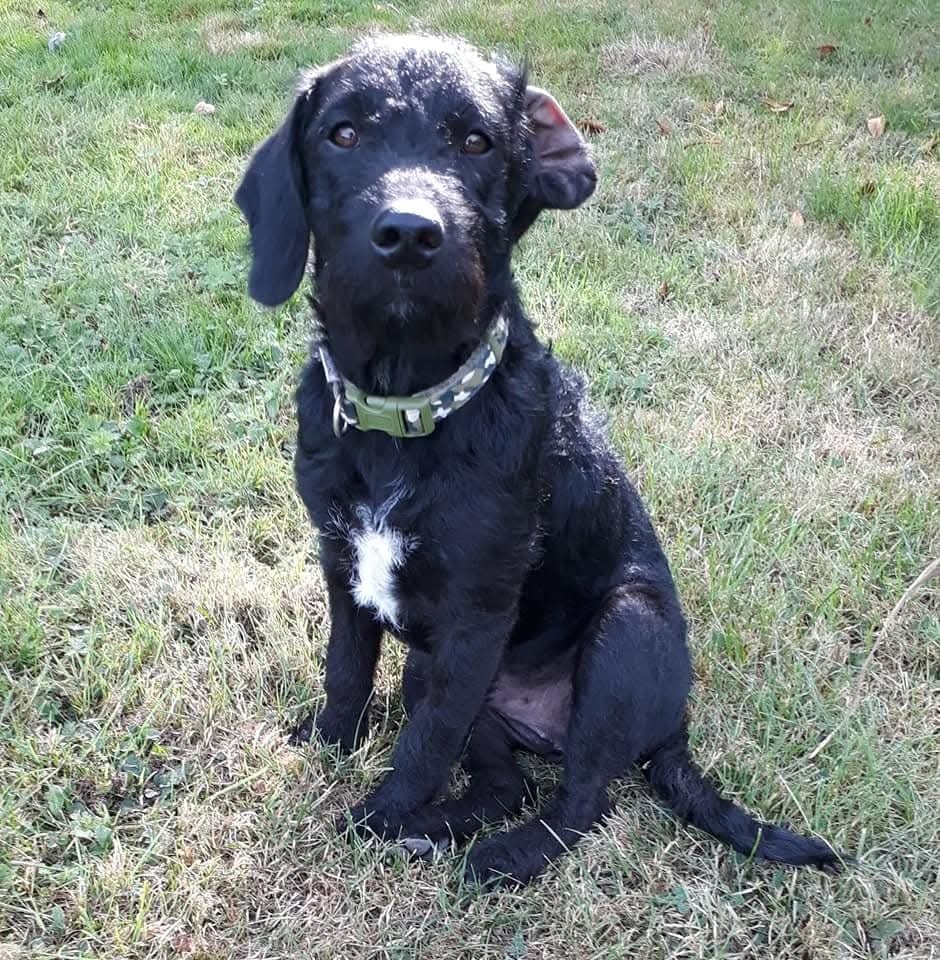 Happy Birthday Morse 6 years old today love you xx