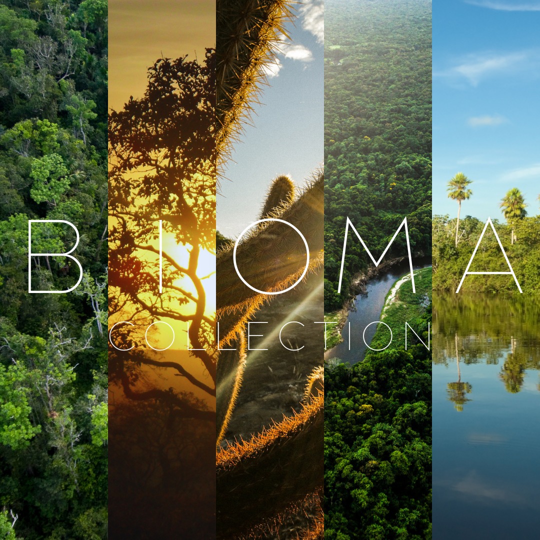 Inspired by nature, crafted with purpose. 🌿✨ The BIOMA Collection celebrates the breathtaking beauty and diversity of Brazil’s ecosystems. From the lush Amazon rainforest to the golden savannas of the Cerrado, the resilience of the Caatinga, the enchantment of the Atlantic Forest, and the vibrant life of the Pantanal — each bag is a tribute to the unique biomes that define our country. 🌍💚 Sustainable, handmade, and full of meaning, BIOMA connects you to the soul of Brazil's natural heritage."
#SustainableFashion
#HandmadeBags
#EcoFriendlyStyle
#SlowFashionMovement
#ArtisanMade
#BrazilianNature
#BiomaCollection
#EcoChicAccessories
#EmpoweringWomen
#InspiredByNature
#SustainableStyle
#EcoFashion
#HandmadeAccessories
#WestCoastStyle
#EastCoastChic
#ConsciousConsumer
#MinimalistFashion
#EthicalFashionBrands
#EcoFriendlyLiving
#ArtisanCrafted