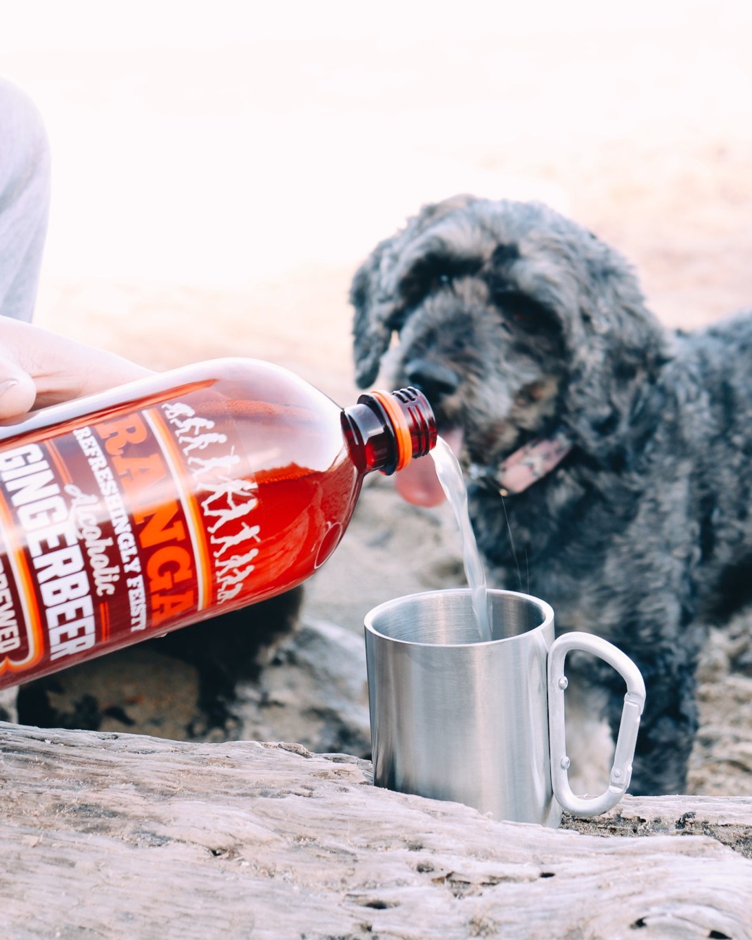 Life’s simple pleasures: a refreshing pour of gingerbeer and a loyal friend by your side 🐶
#ProudToBeGinger #rangagingerbeer #dog #friends #newzealand #ProudToBeDifferent #gingerroots