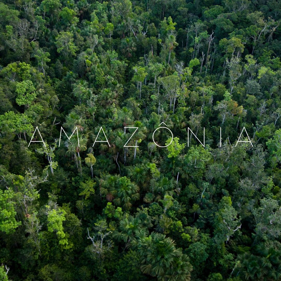 "The lungs of the world, the heart of Brazil. 🌿💚 Inspired by the richness of the Amazon rainforest, our 'Amazônia' bag celebrates the vibrant life, diversity, and beauty of this essential biome."
"Majestic rivers, lush forests, and boundless biodiversity. 🌳✨ The 'Amazônia' bag is a tribute to the Amazon’s natural wonders and its vital role in our planet’s health."
#SustainableFashion
#HandmadeBags
#EcoFriendlyStyle
#SlowFashionMovement
#ArtisanMade
#BrazilianNature
#BiomaCollection
#EcoChicAccessories
#EmpoweringWomen
#InspiredByNature