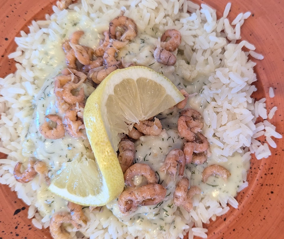 Tagestipp! Hausgemachte Amrumer Fischklopse im Reisrand mit Krabben-Dillsauce #hafen31 #amrum