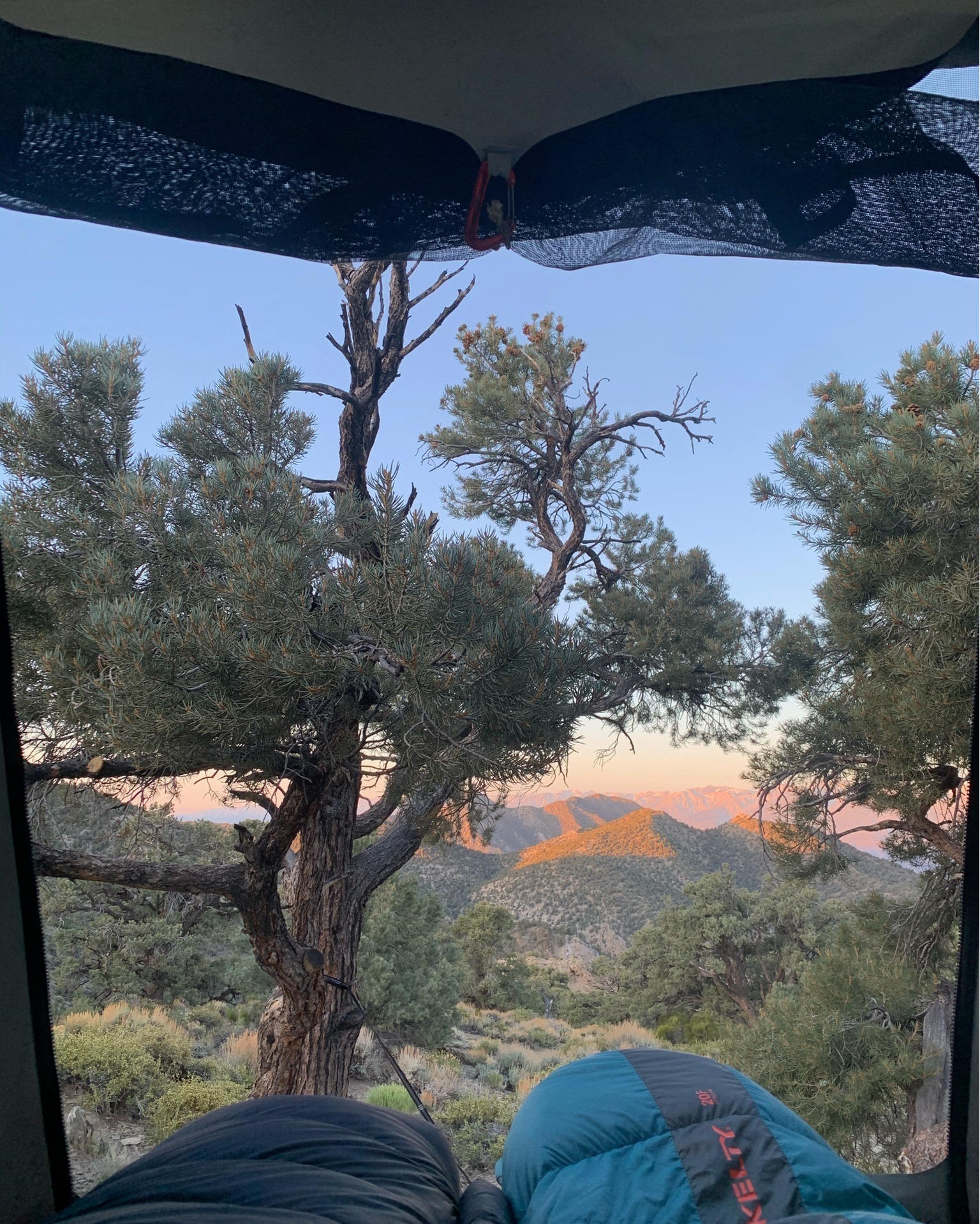No matter how many times we wake up to a view like this, it never loses the magic!
#cypressoverland #overland #overlanding #overlander #4x4 #overlanding #overlandlife #vanlife #roadtrip #getaway #jeepcamping #bucketlist #westcoast #campervan #camperlife #campinglife #travelgram #california #californiaadventure #californiadreaming #visitcalifornia #dothebay #sanfrancisco #sandiego #mountainsplease