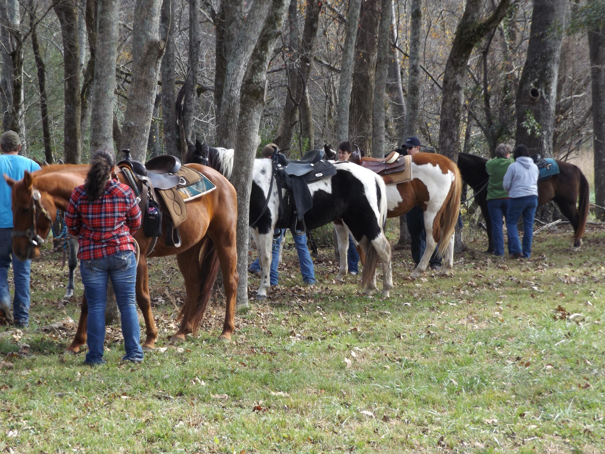 Why not do a group ride? Our prices are soo low, great for organizing a group event. We have places for picnics. Must bring your own horses. $10 per day, per horse. #grouphorseride