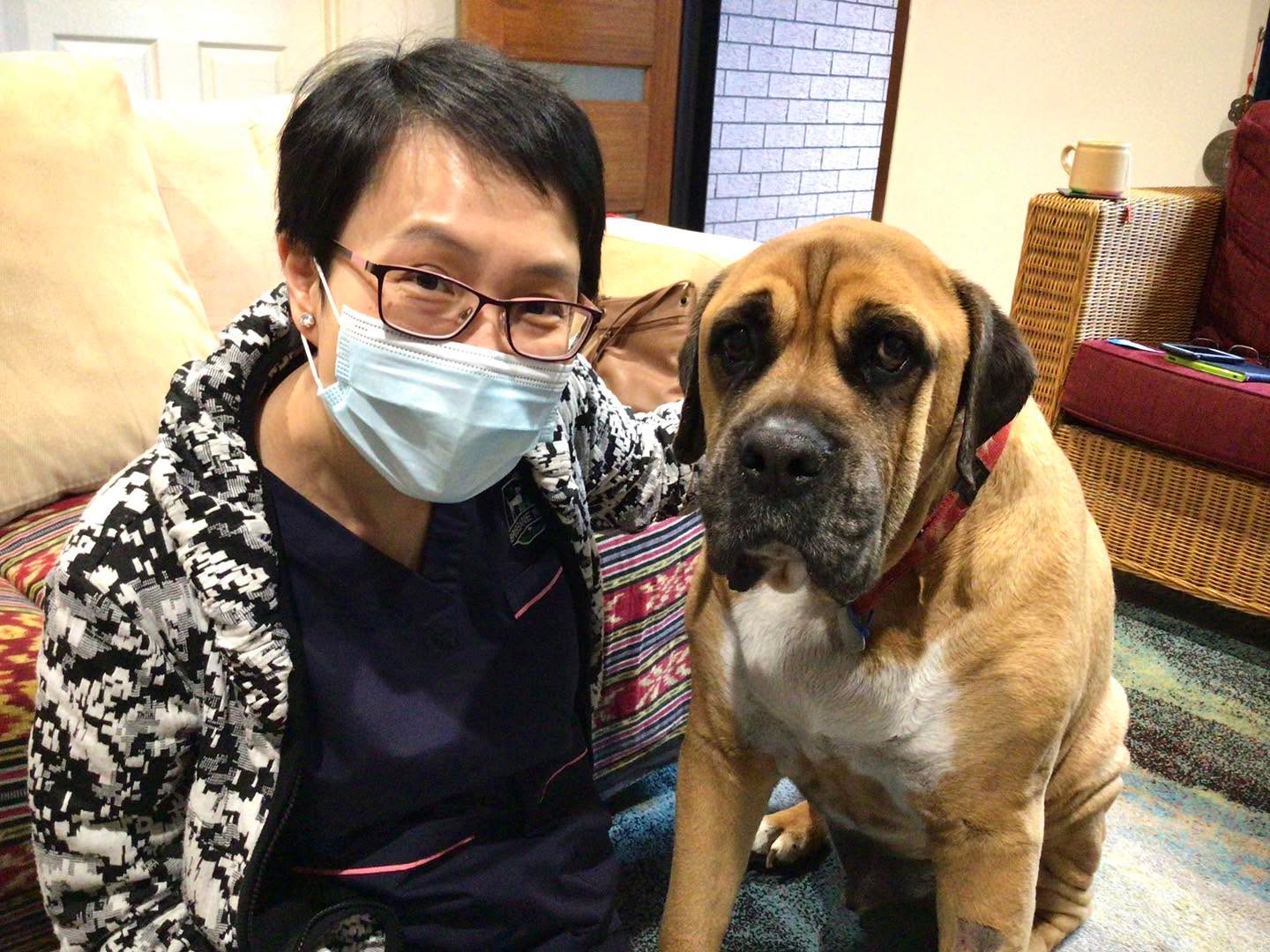 We had looked after Albus for 2 years. During this time, we witnessed the incredible bond between Albus and his human family. ๐ถ It reminds us of the importance of cherishing every precious moment we share with our companions. ๐๐
As veterinarians, one of the most profound responsibilities we carry is guiding our beloved animal companions through their end-of-life journey. Euthanasia, though heart-wrenching, is sometimes the kindest gift we can offer to our furry friends when they face unbearable pain or terminal illness. ๐๐
Letโs honour the lives of our furry friends with love and compassion. They will forever hold a special place in our hearts. ๐โค๏ธ