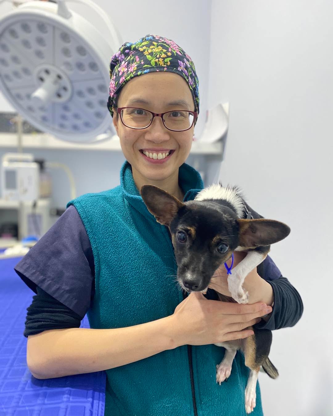 Little Ruby was here at our clinic for her desexing surgery today. ๐ฅ She is a small little dog but she was very brave during her stay here at our clinic! โค๏ธ๐ถ
Itโs great that we can look after our patients both at home as well as in the clinic if they need any surgery ๐ฉบ๐.