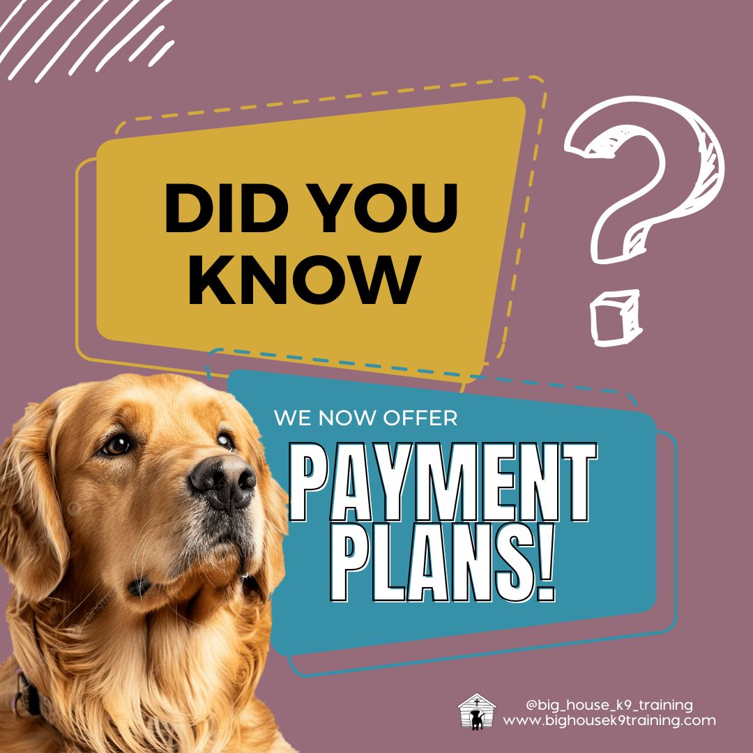 šØ Train Now, Pay Later! š¾
We know how important it is to have a well-trained dogāand we also know life (and finances) can get in the way. Thatās why at Big House K9 Training, weāre making it easier than ever to invest in your dogās success without the stress of upfront costs.
š Weāre excited to offer Buy Now, Pay Later options for ALL of our dog training programs! Whether youāre just getting started or need help fine-tuning, thereās a plan that fits your pupāand your budget.
š” Training Options Include:
ā
Private One-on-One Lessons
ā
In-Home Sessions for convenience and comfort
ā
Structured & fun Group Classes
ā
Professional Service & Therapy Dog Training
From rowdy puppies to reactive rescues to calm and collected companionsāwe tailor each training plan to fit your dogās individual needs, behavior, and learning style.
No matter your dogās age, stage, or temperamentāweāve got you covered.
šLetās train smarter, not harderāand now, more affordably than ever.
š
DM us today to learn more, ask questions, or get scheduled for your first consultation. Your dogās best behavior is just a few sessions away!
#DogTraining #TrainNowPayLater #PaymentPlans #DogTrainerNearMe #ServiceDogTraining #TherapyDogTraining #PositiveReinforcement #BigHouseK9 #CasaGrandeAZ #ArizonaDogTrainer #bhk9training #bhk9trainer #bhk9train #DogTraining #casagrandeaz #positivereinforcement #positivereinforcementtrainer #bighousek9trainer #casagrande #positivereinforcementtraining #bighousek9training
