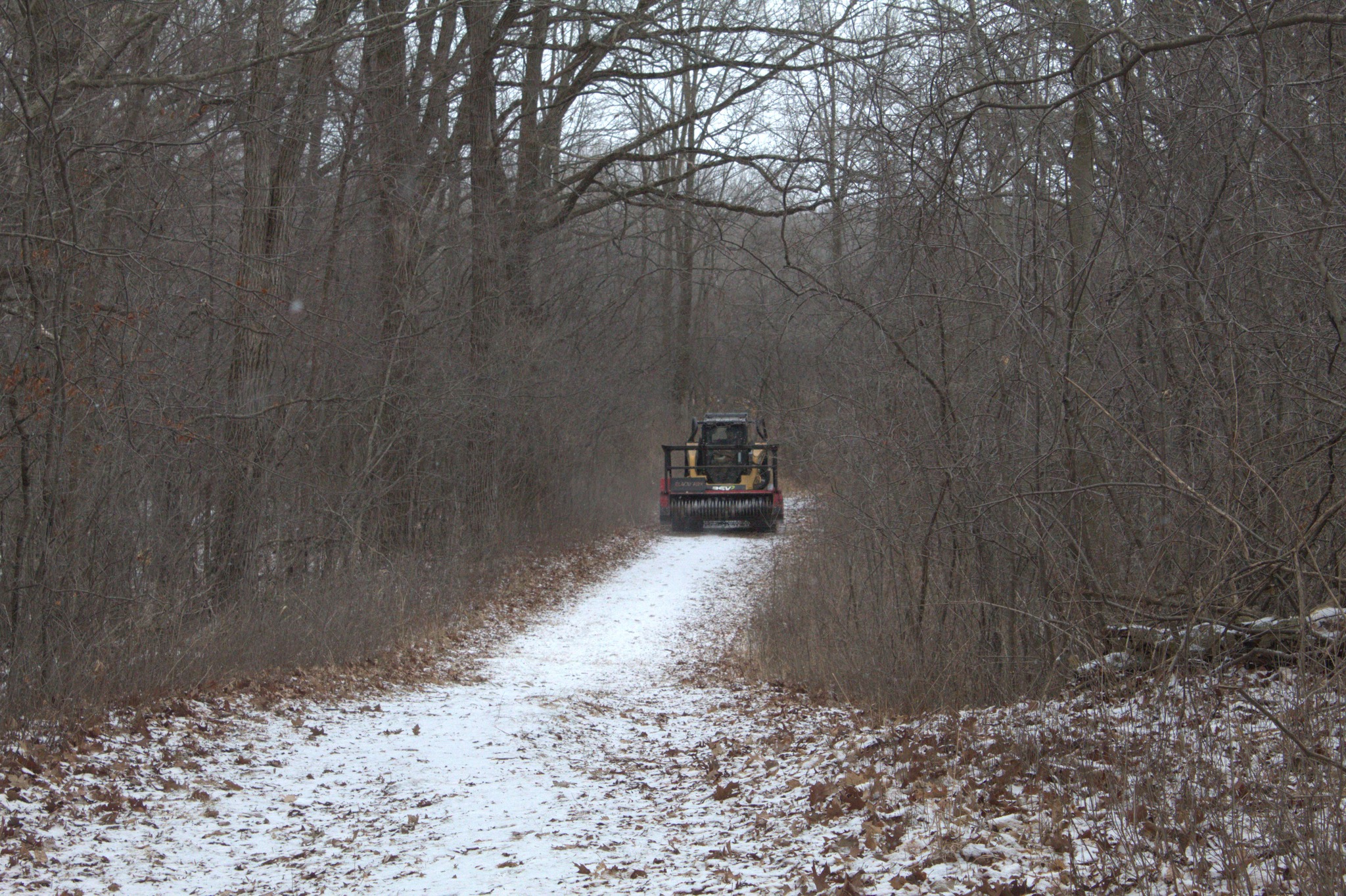 Invasive species management has begun at Willow Creek Preserve. A joint project for Glacial Lakes Conservancy was able to begin following the cold weather earlier this week. Ideal Land Management, Green Fire Ecology, and Native Range Ecological have joined efforts in order to manage vegetation and monitor restoration activities at Willow Creek Preserve. Ideal Land management capitalized on the recent cold spell with forestry mowing this week. Forestry mowing in the winter allows managers to conduct work while reducing disturbance on the landscape. #forestrymowing #invasivespeciesmanagement #nativerestoration