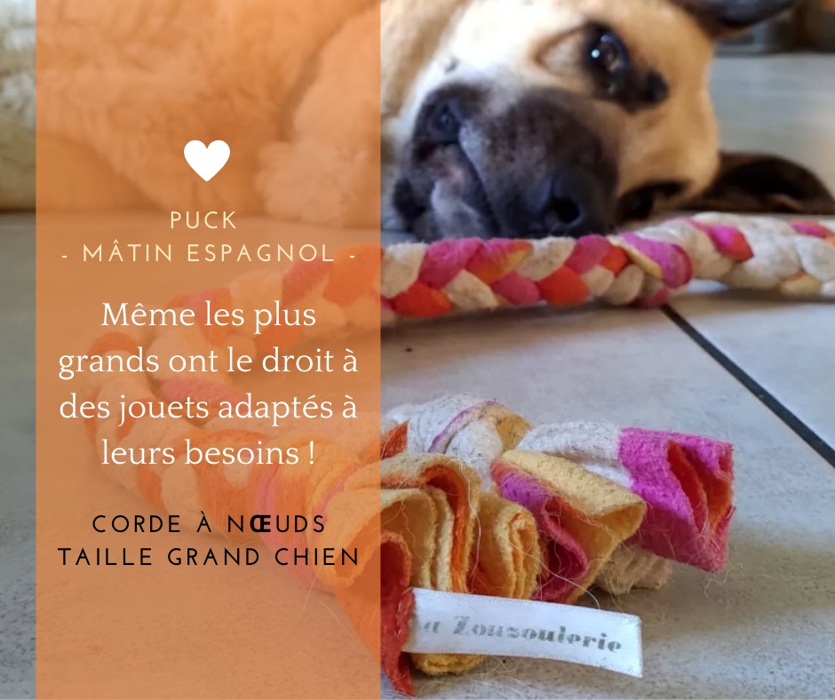 🎾 Pourquoi jouer est essentiel pour nos compagnons ?
Le jeu, ce n’est pas juste du fun ! 🎉 Il aide aussi à :
✔ Stimuler leur mental 🧠
✔ Dépenser leur énergie 🏃♂️
✔ Éviter l’ennui et le stress 💤
💡 Astuce : variez les jouets pour garder leur intérêt intact !
#LaZouzoulerie #BienfaitsDuJeu #JouetChien #JouetChat #EducationAnimale #AnimalCare