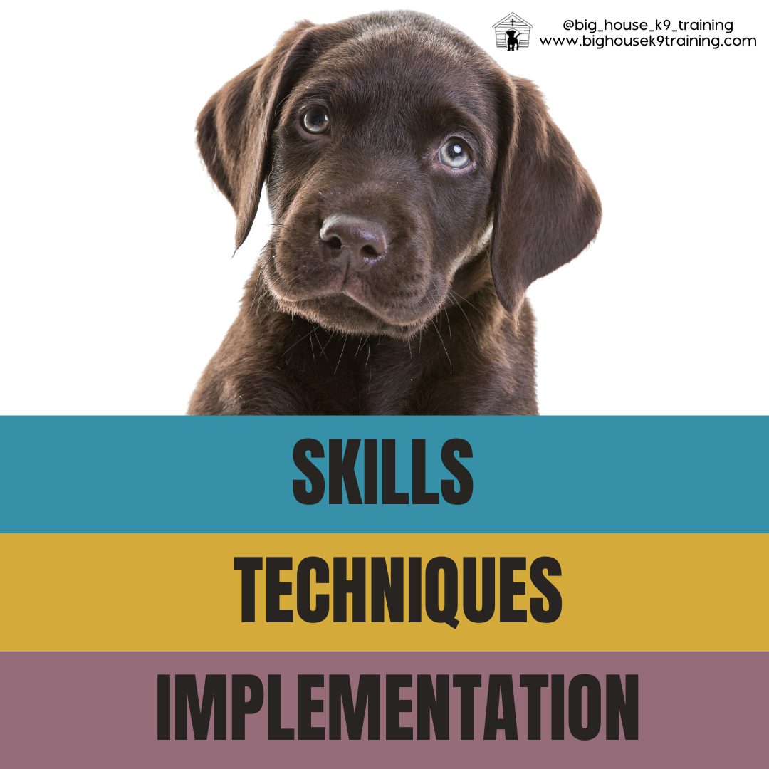 Shark teeth. Razor-sharp claws. Tears apart your furniture and clothes.
It almost sounds as if we're describing a T-rex.
But really, this is puppyhood!
Itās as fun as it is hard. Itās okay if it feels like itās not what you signed up for.
Itās okay if it is much harder than you anticipated.
These are normal feelings for new puppy owners.
It will get better with time. Especially if we work together.
We can work together to build a routine that supports you both.
We can anticipate bad habits and heed them before they start (or continue into adulthood).
We can make sure your puppy setup is optimized to be as helpful as possible during this stage.
As professionals, we bring a certain set of skills and techniques AND how to apply them to your unique situation to make life with puppies much easier - knowledge you just canāt find online.
Ready to get some relief? Comment or message us āpuppyā and we can talk about what next steps can be taken.
#rewardbasedtraining #dogtrainingtips #fearfreedogtraining #fearfreetraining #bhk9training #bhk9trainer #bhk9train #DogTraining #casagrandeaz #positivereinforcement #positivereinforcementtrainer #casagrande #bighousek9trainer #positivereinforcementtraining #bighousek9training