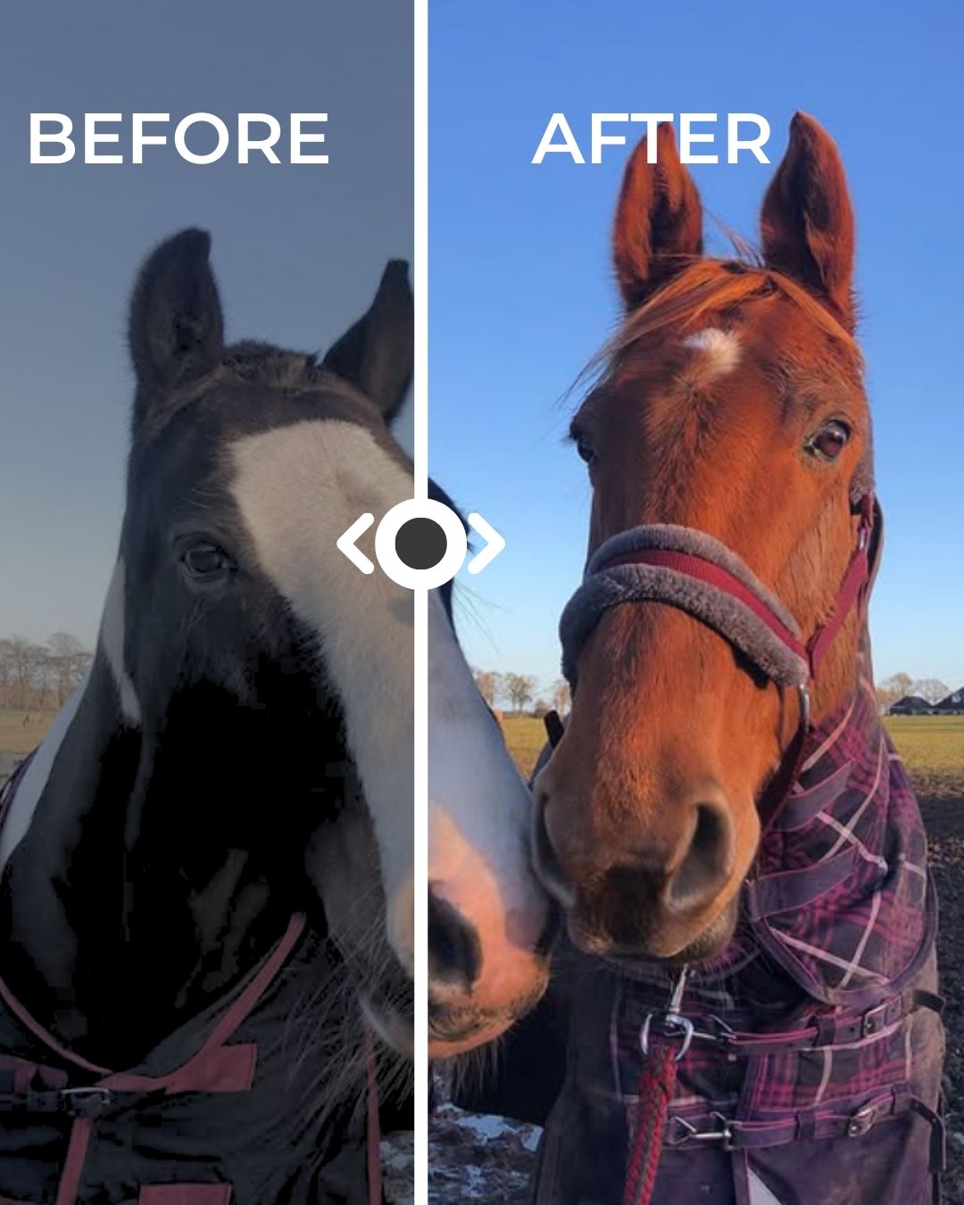 🎯 Proof that editing makes ALL the difference! Swipe to see how a little tweaking can turn a dull shot into a scroll-stopper. 👀👇
💥 Left = flat and lifeless
💖 Right = crisp, vibrant, and eye-catching
🔥 Adjusting brightness, contrast, and saturation can take your equestrian content from meh to magic!
👉 What’s your favourite editing app or trick?⬇️
#PhotoEditingTips #EquestrianContent #HorsePhotography #equestrianstyle #equestrianmedia