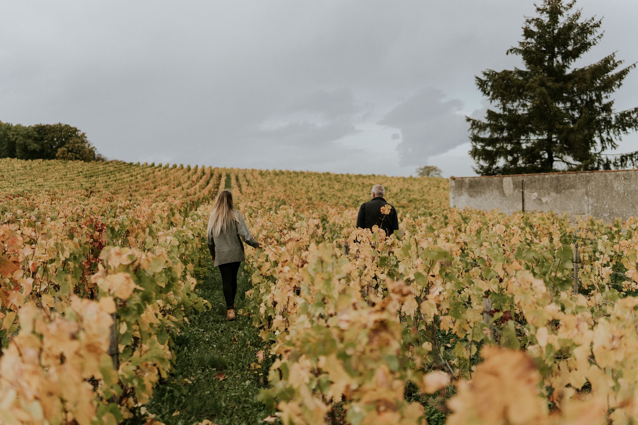 Vineyard check ✔️
On observe, on repère, on marque.
Bois Noir, Esca, Pieds Malades & Manquant... tout est noté pour les futurs arrachages/curtage.
#vineyard #autumn #fall #fatheranddaugther #villersmarmery #1ercru #chardonnay #winemaker #winegrower #vigneron #champagneamargaine #margaine