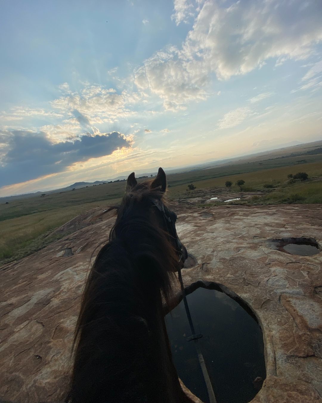 🧐 Can you spot what makes these two "Between the Ears" shots so different?
These images are both shot from my last trip working on a safari ranch in South Africa (Yeah, it was as cool as it sounds 😉). Both Images are taken from the same place, although behind different ears 🦄
📸 Hint: It’s all about timing! The picture on the left was snapped at 0.5 mode — that’s why it feels more dynamic and gives you that “in the moment” vibe. The wider lens captures more of the scene, making the shot feel alive. 🌄
💡 Pro tip: Try 0.5 mode next time you’re out on a hack — it might just be a game-changer!
👉 Have you got any revolutionary equestrian photo hacks? Drop them in the comments, I know I'm always keen to learn more 👀