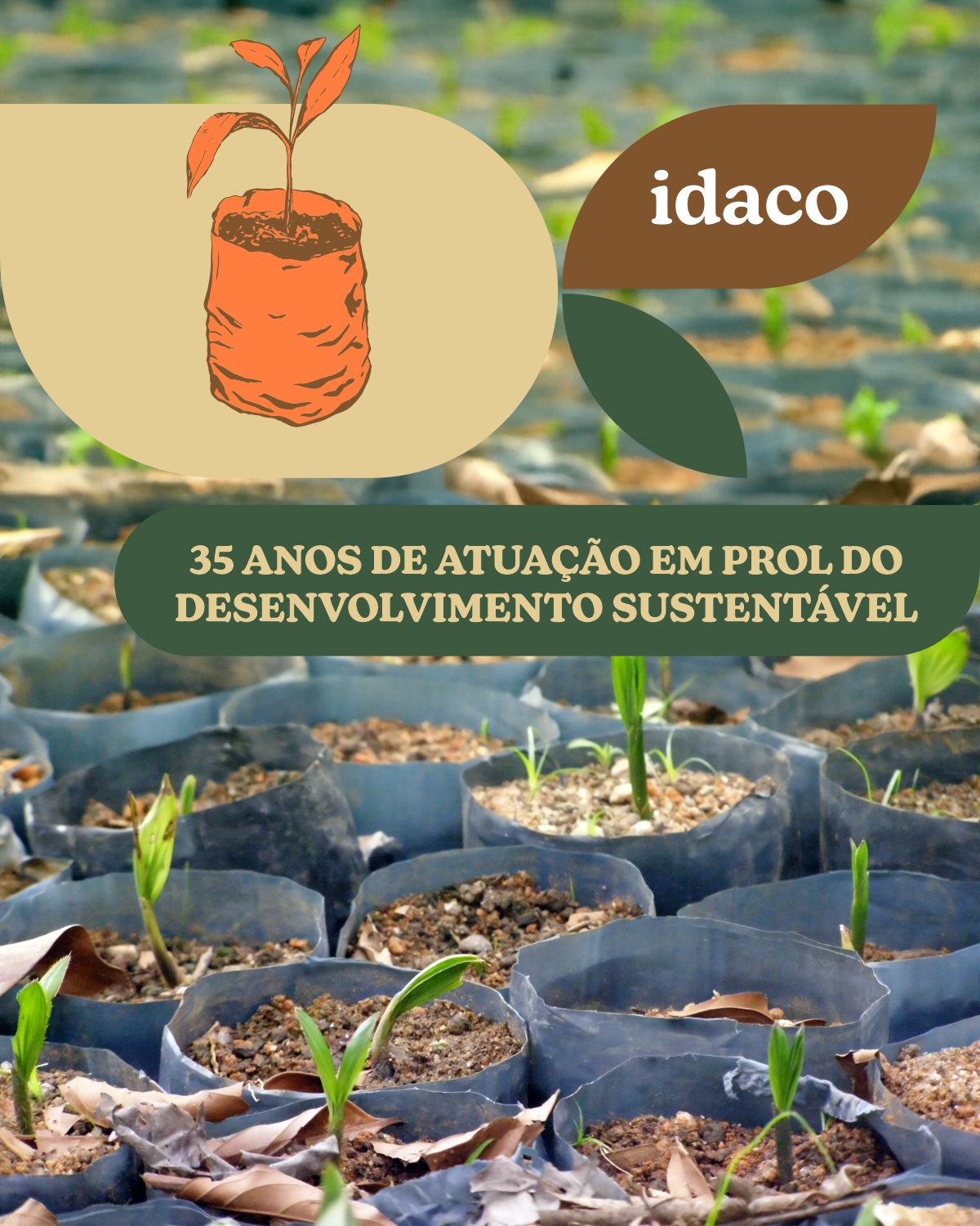 Ao longo de 35 anos, o Idaco tem atuado na defesa de direitos e na promoção da sustentabilidade, fortalecendo a autonomia de comunidades rurais e urbanas. Com projetos inovadores em diversas áreas, seguimos transformando realidades e contribuindo para um futuro mais sustentável, sempre alinhados aos Objetivos do Desenvolvimento Sustentável (ODS). 💚