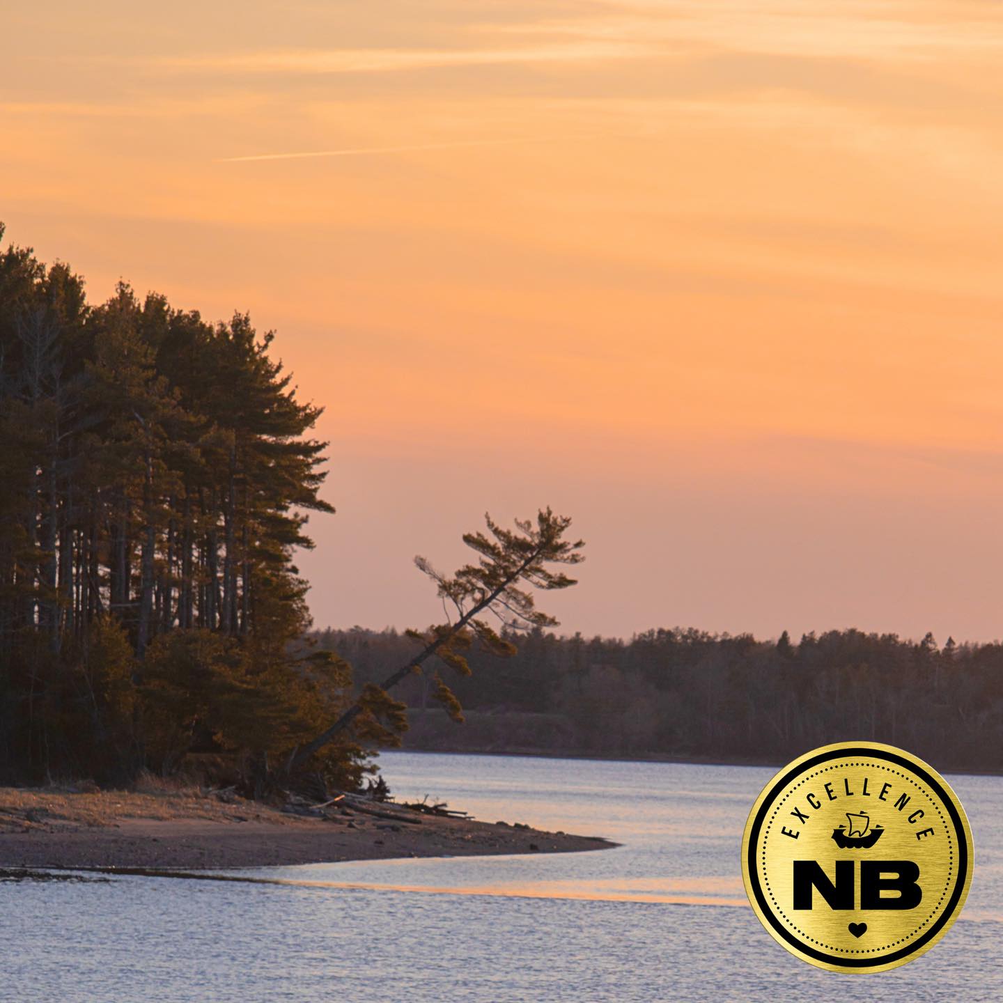 Hey, Miramichi! This is so exciting! We’re so thrilled to announce that Beaubears Island has been featured in the @excellencenb - Navigate NB Summer 2024 Edition! ☀️
Check us out on Navigate NB - North East, under Culture!