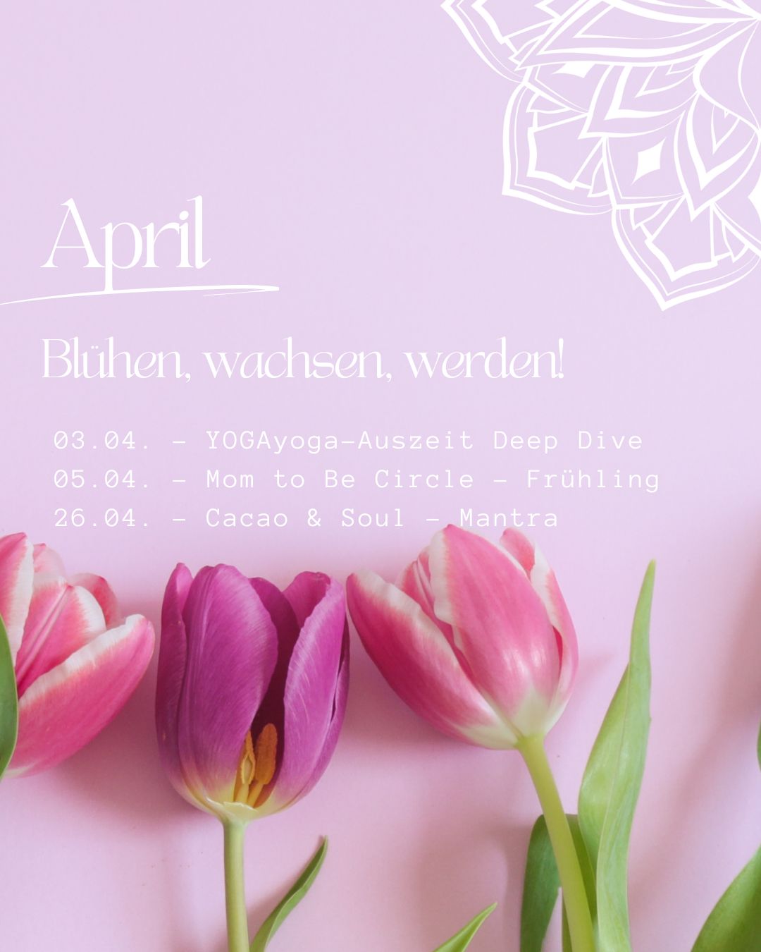 Der April ruft! Lasst uns zusammenkommen - abtauchen, wachsen, singen!
Alle Details zu den Terminen & Anmeldung findest du online. Über meine Bio gelangst du direkt zu den Veranstaltungen.
Eine Woche vor den Kreisen/Ritualen ist der offizielle Anmeldeschluss - dann entscheide ich, ob das Interesse groß genug ist und ob der Kreis zu Stande kommt.
Wollen wir gemeinsam im April erblühen? Ich freu mich auf dich!
FRAUENKREISE
YOGA
MOMTOBECIRCLE
BLESSING
MANTRA
HARMONIUM
#frauenkreisenrw #restorativyoga #blessingcircle #cacaoritual #ritual #mantrasingen #harmonium #auszeit