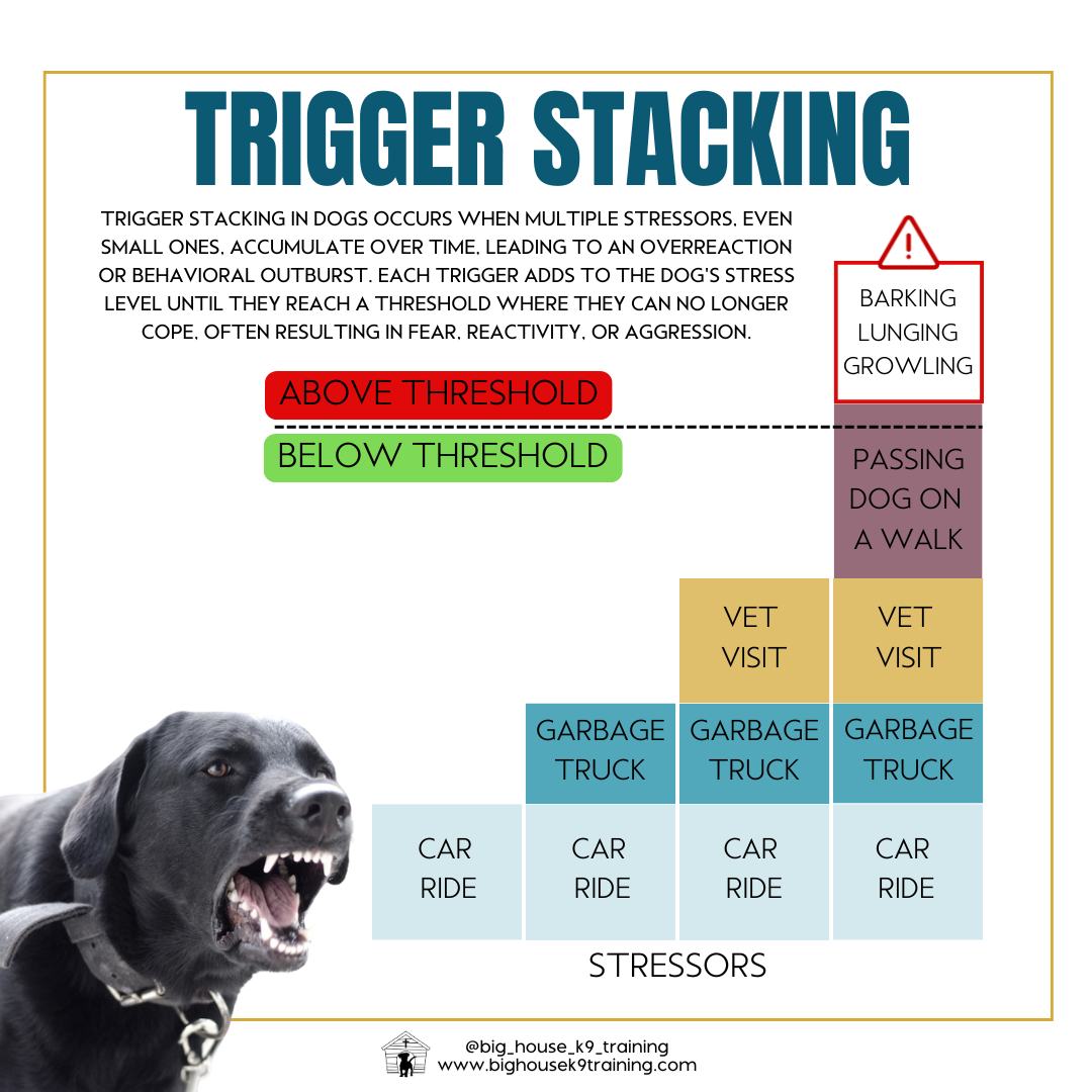 šØ Understanding Trigger Stacking šØ
Have you ever wondered why your dog suddenly barks, lunges, or growls āout of nowhereā? The truth is, itās not out of nowhere at all! Your dog might be experiencing trigger stackingāa buildup of stressors over time that pushes them past their threshold.
What is Trigger Stacking?
Trigger stacking occurs when multiple stressorsābig or smallāaccumulate without enough time to decompress. Even seemingly minor things, like a car ride, the garbage truck, or a vet visit, can add to your dog's stress level. When they experience too many stressors in a short period, they reach their breaking point, resulting in reactivity, fear, or aggression (like barking, lunging, or growling).
Example of Trigger Stacking in a Dogās Day:
1ļøā£ Car ride to the vet ā mild stress
2ļøā£ Garbage truck passes by ā more stress
3ļøā£ Vet visit (handled, examined) ā major stressor!
4ļøā£ Another car ride home ā stress increasing
5ļøā£ Later, on a walk, they see another dog ā BOOM! Over threshold! Reactivity kicks inābarking, lunging, growling.
At this point, the dog isnāt just reacting to the other dogāthey're reacting to all the stress that has piled up throughout the day.
How to Prevent & Manage Trigger Stacking:
ā
Recognize early stress signals (yawning, lip licking, tense body).
ā
Avoid stacking stressors in a short time.
ā
Use counterconditioningāpair stressors with rewards.
ā
Train calm behaviors in low-stress settings.
ā
Provide decompression time (sniffy walks, enrichment, quiet time).
Reactivity is not "bad behavior"āit's a sign of stress! When we recognize and manage trigger stacking, we help our dogs feel safer and more confident in the world.
We help dogs and owners overcome reactivity with customized training designed to build confidence and resilience! Whether itās private lessons or structured socialization, weāre here to support you. DM us or visit www.bighousek9training.com to learn how we can help!
#rewardbasedtraining #dogtrainingtips #fearfreedogtraining #fearfreetraining #bhk9training #bhk9train #DogTraining #casagrandeaz #positivereinforcement #casagrande #bighousek9trainer #bighousek9training #TriggerStacking #CanineBehavior