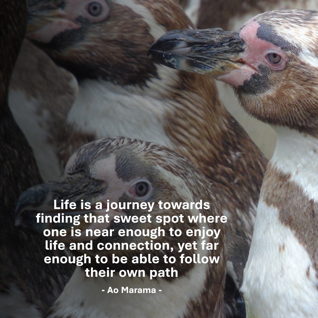 #quotes #qotd #quotestoliveby #inspire #dailyinspiration #inspiration #inspirational #personalgrowth #personaldevelopment #mentalhealth #journeywithin #selflove #selflovequotes #selfcare #growth #growthmindset #meditation #mindbody #mindbodyconnection #connection #therapy #wisdom #wisdomquotes #innerbalance #innerpeace #transformation #emotionalbalance #aomarama #maramahealth #worldoflight