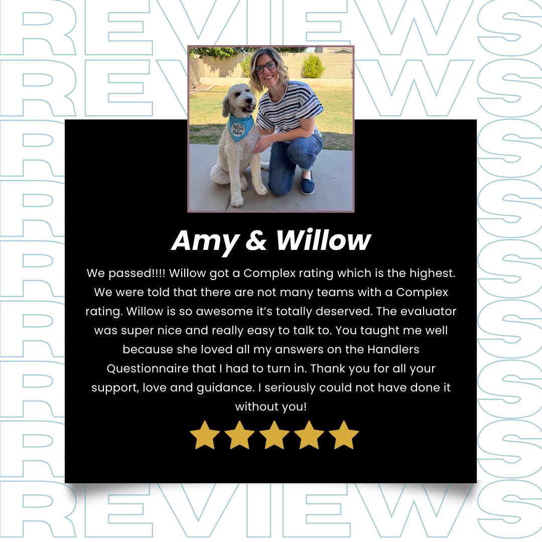 š BIG news! š
Willow officially passed her final AAT (Animal Assisted Therapy) evaluation and earned a Complex rating ā the highest possible! š She is now a certified Paws and Peers Therapy Dog with Mesa Public Schools ! š¾š
We are beyond proud to have been part of Willowās training journey. Her sweet spirit and incredible handler, Amy, make the perfect team. After all their hard work, Willow starts her first day on the job tomorrowāwith a special assignment supporting a 3rd grader who needs some extra love. š¶š
Did you know we offer a Therapy Dog Training Program? If you have a dog with a heart for helping, weād love to help you turn that into a reality!
#bighousek9training #TherapyDogProgram #PawsAndPeers #MesaPublicSchools #TherapyDogSuccess #poodle #DogsWithJobs #AnimalAssistedTherapy #TherapyDogTraining #DogsOfInstagram #MakingADifference #pawsandpeers #mpsaz #dogtraining #bhk9trainer #fearfreedogtraining #positivereinforcement