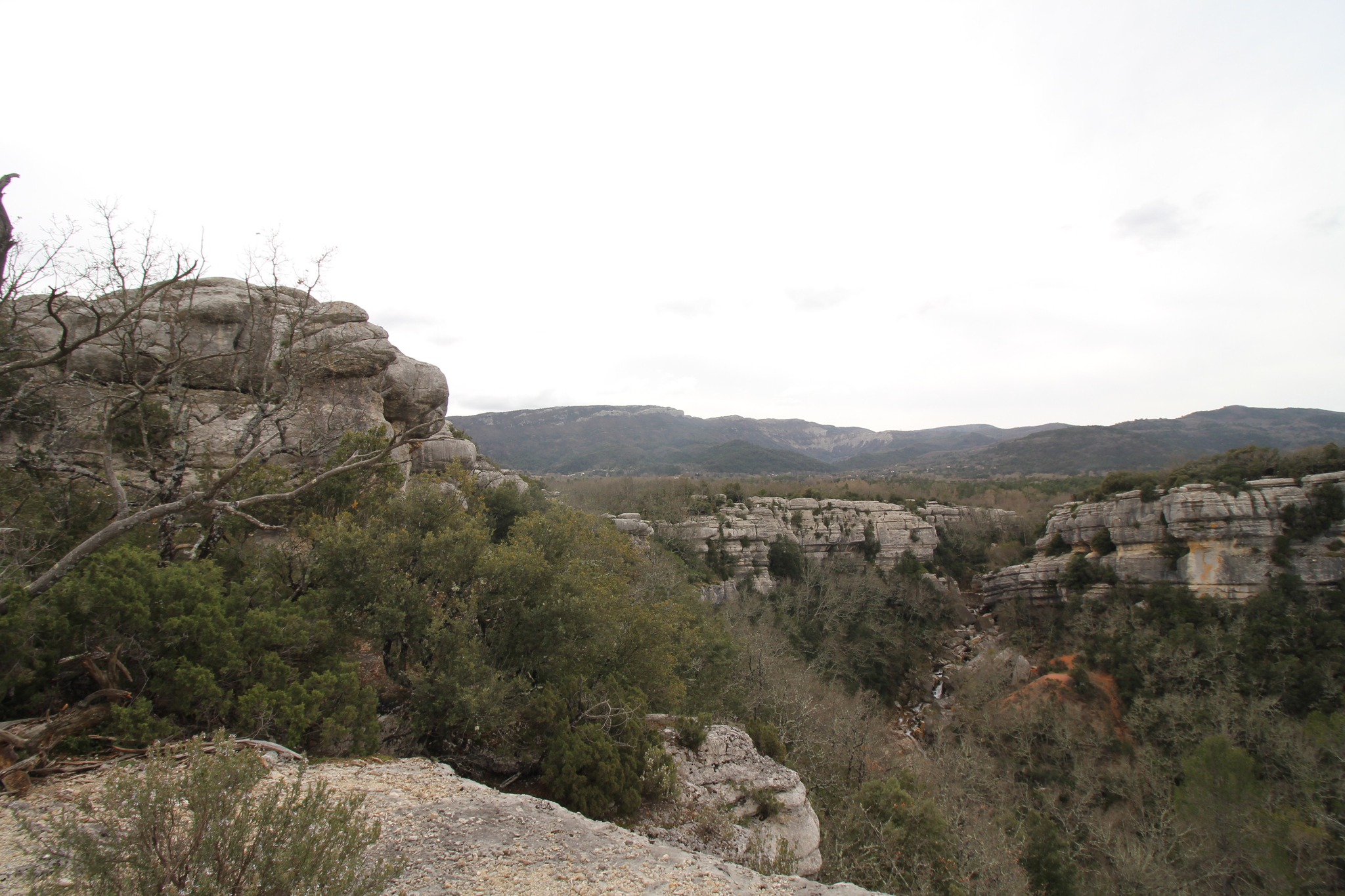 Nous donnons rendez-vous à nos adhérents le samedi 15 février pour la première sortie de l'année !
Nous nos rendrons sur la commune de Mazaugues (83) pour une balade au Saut du cabris.
Si vous souhaitez nous y accompagner, n'hésitez pas à adhérer et nous contacter pour avoir les informations complémentaires de la journée.