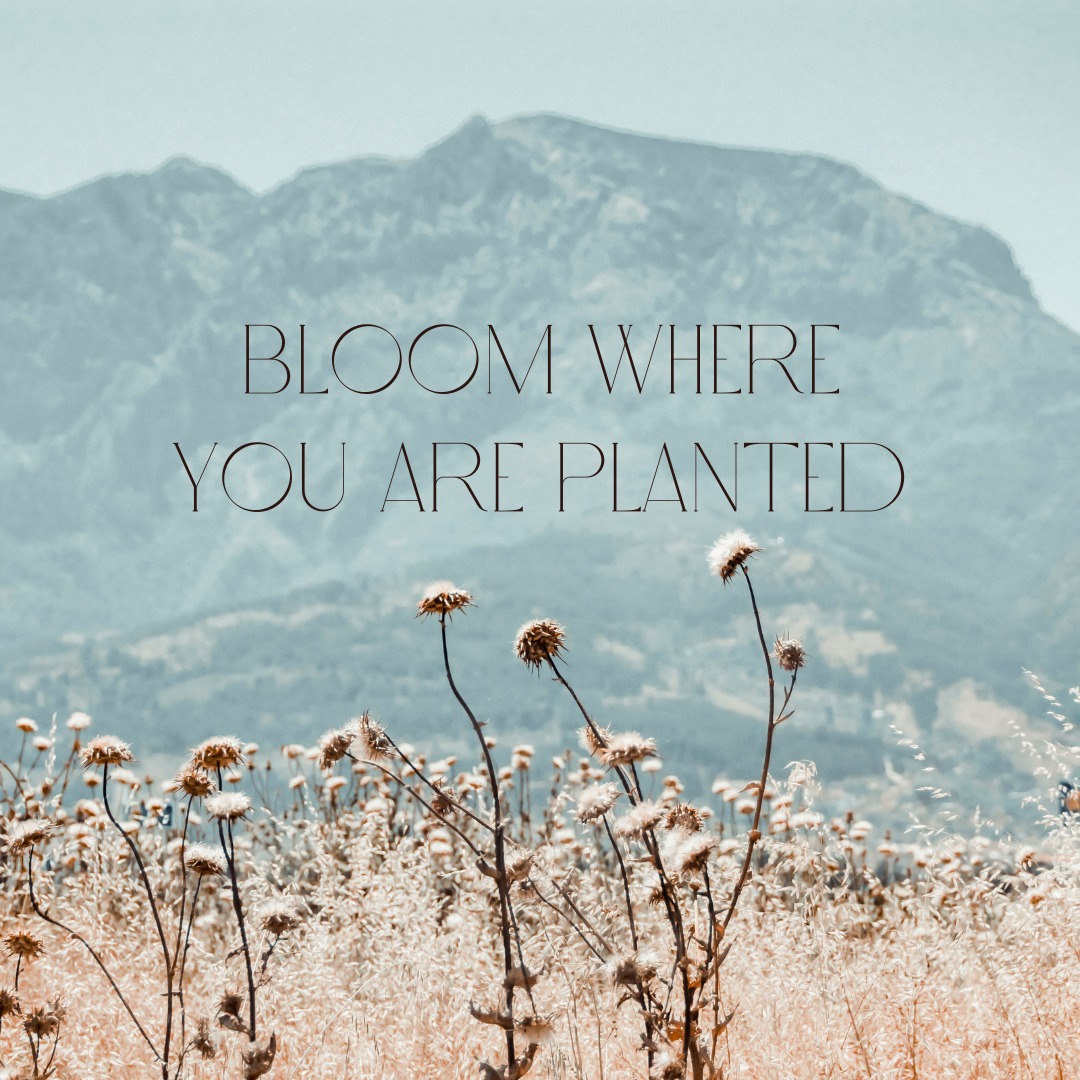 #quotes #qotd #quotestoliveby #inspire #dailyinspiration #inspiration #inspirational #personalgrowth #personaldevelopment #mentalhealth #journeywithin #selflove #selflovequotes #selfcare #growth #growthmindset #meditation #mindbody #mindbodyconnection #connection #therapy #wisdom #wisdomquotes #innerbalance #innerpeace #transformation #emotionalbalance #aomarama #maramahealth #worldoflight