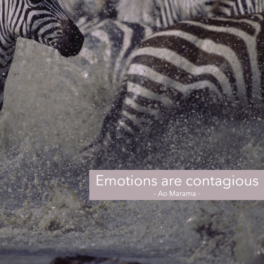 #quotes #qotd #quotestoliveby #inspire #dailyinspiration #inspiration #inspirational #personalgrowth #personaldevelopment #mentalhealth #journeywithin #selflove #selflovequotes #selfcare #growth #growthmindset #meditation #mindbody #mindbodyconnection #connection #therapy #wisdom #wisdomquotes #innerbalance #innerpeace #transformation #emotionalbalance #aomarama #maramahealth #worldoflight