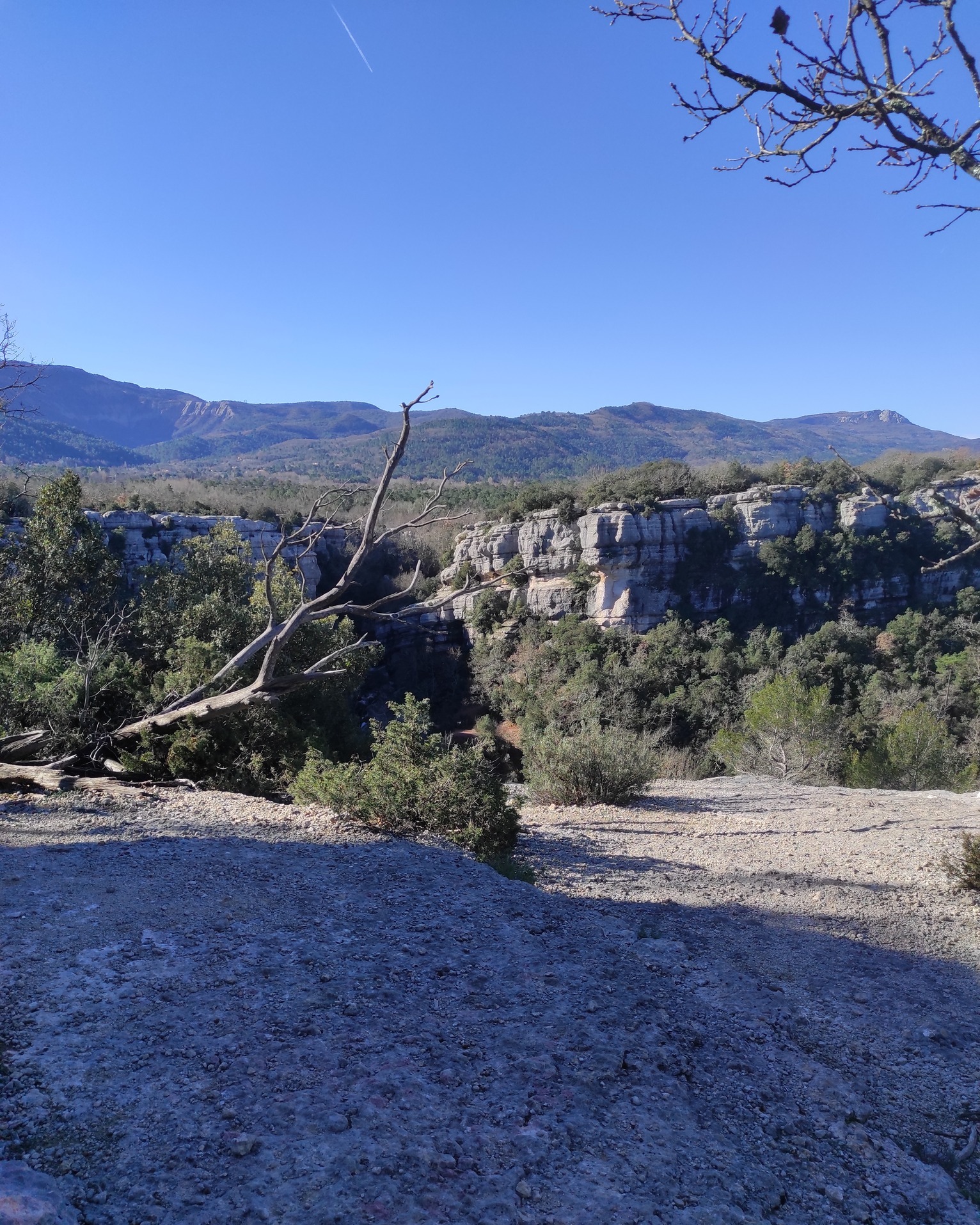 Retour sur la première sortie adhérent de l'année à Mazaugues !
Une météo idéale nous a permis de circuler dans un payasage de garrigues, lapiaz, forêt de chênes et enfin de ripisylve.
une diversité de milieux nous permettant d'apercevoir la flore qui commencent déjà à se réveiller. La faune quant à elle, était bien plus discrète.
Nous avons donc débuté la sortie en garrigue sur base de lapiaz, nous permettant de rencontrer des espèces typiques du milieu : ciste cotonneux, philaire à feuille large, orpins... et un passage assez furtif d'une buse variable (Buteo buteo).
Puis nous avons suivi un dédale dans les roches calcaires du lapiaz couvertes par les mousses. Enfin, la première récompense, une superbe vue sur le fameux Saut du Cabris, creusé par le Caramy. Un groupe d'Hirondelle de rochers nous attendait d'ailleurs, un sacré spectacle aérien !
Puis, après une pause repas bien méritée, nous sommes descendus dans le vallon pour rencontrer le Caramy. Un arbre mort nous a permis de voir les galeries creusées par des scolytes : coléoptères xylophages (ici genre Scolytus).
Ensuite, il était temps de rebrousser chemin, par chance nous avons pu apercevoir un Psammodromme d'Edwards, petit lézard que l'on rencontre en France uniquement en région méditerranéenne.
Enfin, nous avons retrouvé le cours d'eau, nous permettant de rencontrer des Patelines des fleuves. Des mollusques aquatiques indicateurs d'une très bonne qualité de l'eau !
Quelques observations :
Photo 2 : Philaire à feuilles larges, Phillyrea latifolia
Photo 3 : Orchis géant, Himantoglossum robertianum
Photo 4 : Orpin (probablement des rochers), Petrosedum sp.
Photo 5 : Crocus bigarré, Crocus versicolor
Photo 6 : Génévrier de Phénicie, Juniperus phoenicea
Photo 7 : Gouet d'Italie, Arum italicum
Photo 8 : Hirondelle de rochers, Ptyonoprogne rupestris
Photo 9 : Psammodrome d'Edwards, Psammodromus edwarsianus
Photo 10 : Patelline des fleuves, Ancylus fluviatilis
Si toutes ces observations ont suscité chez vous l'envie de vous ballader, n'hésitez pas à adhérer et à vous tenir informer de nos prochaines sorties !