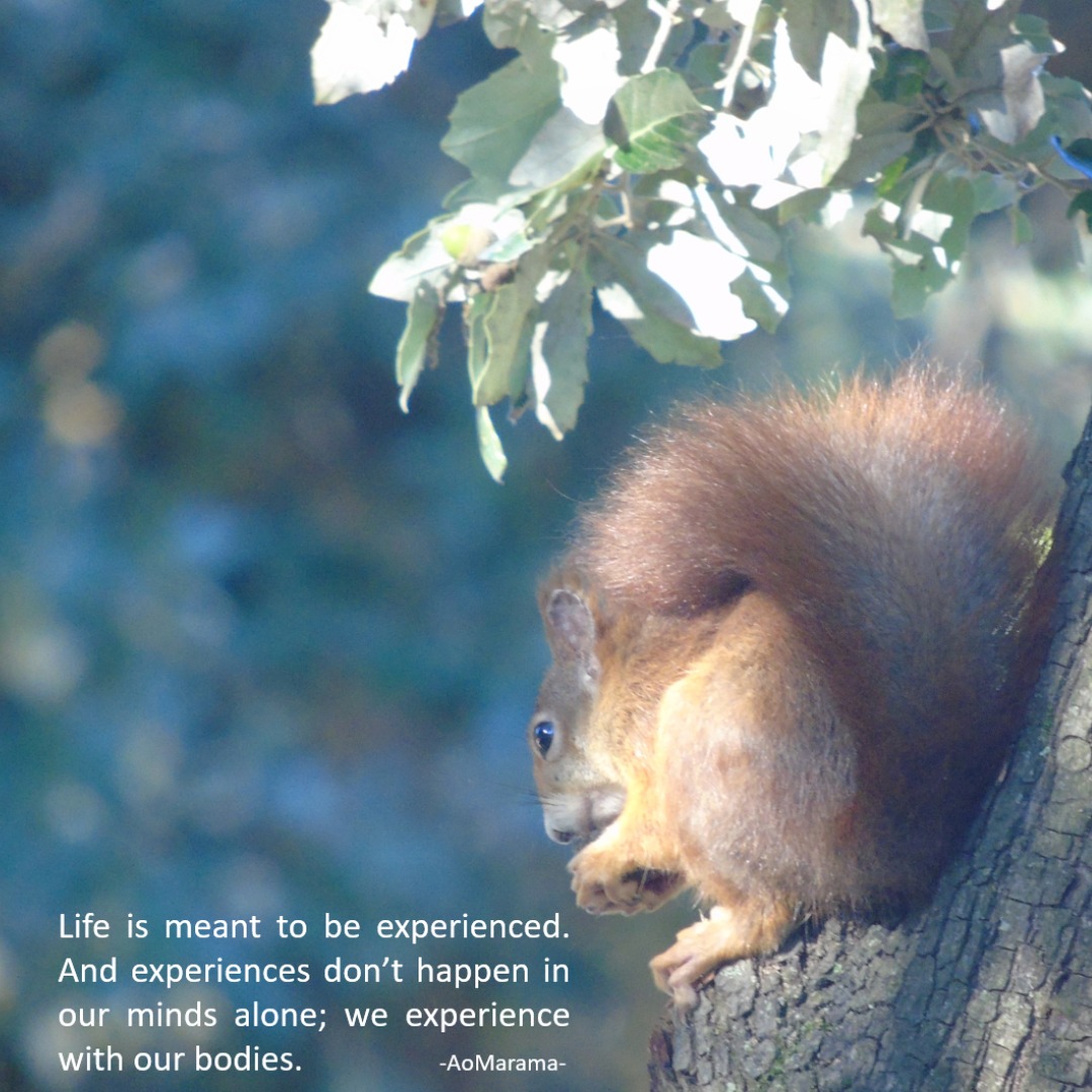 #quotes #qotd #quotestoliveby #inspire #dailyinspiration #inspiration #inspirational #personalgrowth #personaldevelopment #mentalhealth #journeywithin #selflove #selflovequotes #selfcare #growth #growthmindset #meditation #mindbody #mindbodyconnection #connection #therapy #wisdom #wisdomquotes #innerbalance #innerpeace #transformation #emotionalbalance #aomarama #maramahealth #worldoflight