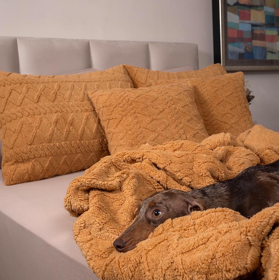 Quem aí está ansioso para temporada de mantinhas na cama ou no sofá? Nossa manta em soft 300 gramas é super quentinha! Garanta já a sua com seu consultor Franciani
#soft #decoração #inverno2025