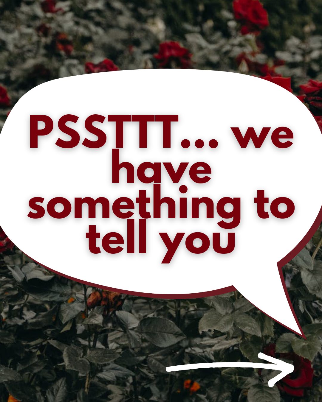 Dear CF Roundtable readers,
As you all know, USACFA is run by a small group of adults with CF. Life with CF can be challenging and sometimes throws curveballs that require a change in plans and direction. These past few months have been particularly challenging for several of our executive directors and we are stretched thin as a board. As an organization dedicated to supporting the adults within the CF community it’s important that we provide the same support to our USACFA Directors and give them the time and space needed for taking care of any and all health obstacles that arise. To accommodate this, we’ve made the decision to take a short hiatus in publishing the current issue to combine our Winter and Spring 2025 publication into one issue.
All of us at USACFA appreciate your support throughout the years! If you have any questions, please send us an email at cfroundtable@usacfa.org.
Sincerely,
The Directors of the USACFA Board, Publishers of CF Roundtable
🔗 To find more information, please visit https://www.cfroundtable.com/publication or the link in our bio.