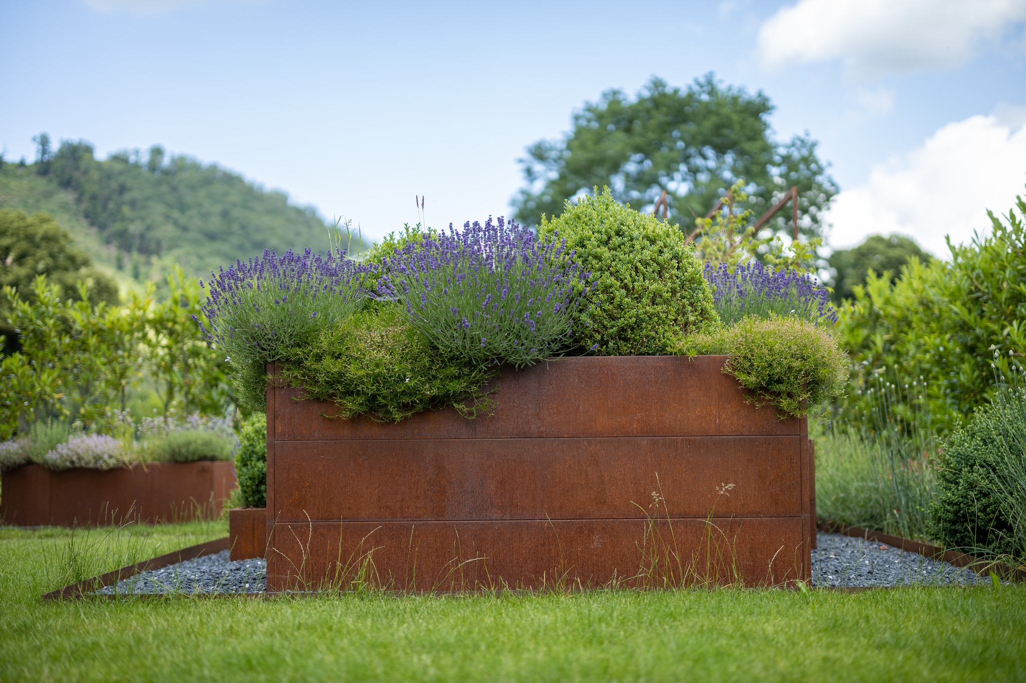 Kraidergaart am Corten-Stol, 200cm laang, 100cm breet an 90cm héich.
Info a Präiss 👉 https://letzshop.lu/fr/products/hochbeet-corten-stahl-hoehe-90cm-edcba2