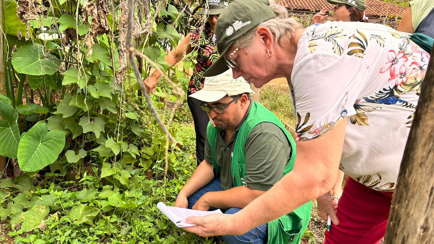 🌿✨ ADL recebe curso sobre Plantas Medicinais 🌱
Entre os dias 20 e 23 de março, a ADL recebeu o curso "Cultivo de Plantas Medicinais" em parceria com o SENAR e apoio do Sindicato Rural de Afonso Cláudio. A formação reuniu estudantes, moradores de Serra Pelada e membros da ACESA-ES.
Foram 32 horas intensas, conduzidas pelo especialista Carlos Pedro Guerra de Sousa, com foco na identificação, cultivo e uso sustentável das plantas medicinais, aromáticas e condimentares da região.
🌱 Na prática, os participantes exploraram a horta medicinal da ADL e identificaram cerca de 100 espécies locais com propriedades terapêuticas, trocando conhecimentos e experiências valiosas.
🧴 Na padaria industrial da ADL, o grupo produziu pomadas, chás, cremes, tinturas e até vinho medicinal, ampliando as possibilidades de uso prático e sustentável dessas plantas.
🙌 Agradecemos ao SENAR e ao Sindicato Rural pelo apoio e compromisso com a educação e sustentabilidade em nossa comunidade!
#PlantasMedicinais #ADL #SENAR #SaúdeNatural #ComunidadeSustentável