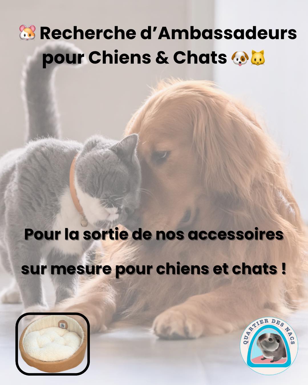 Recherche d’Ambassadeurs pour Chiens & Chats 🐶🐱
📣 Amoureux des chiens et chats, c’est votre moment !
Quartier des Nacs s’apprête à lancer une toute nouvelle catégorie : des accessoires sur mesure pour chiens et chats ! 🎉
Nous sommes à la recherche de 2 ambassadeurs/ambassadrices passionnés, prêts à partager leur amour pour leurs compagnons à quatre pattes et à représenter notre marque. 🐾
Pour participer :
✔️ Vous devez avoir un compte Instagram dédié à votre animal (chien, chat ou les deux).
✔️ Être actif(ve) sur Instagram : publier des posts, des stories, et même des reels régulièrement.
✔️ Partager avec votre communauté notre univers et nos produits personnalisés.
✔️ Avoir envie de contribuer à notre aventure en donnant vos idées et vos avis.
En tant qu’ambassadeur/ambassadrice, vous bénéficierez de :
🎁 Un code promo personnel pour vos commandes.
📢 Un code à partager avec votre communauté (plus il est utilisé, plus vous obtenez des avantages exclusifs).
💬 Une implication dans le développement de nos accessoires pour chiens et chats !
Comment postuler ?
📩 Envoyez-nous un message privé avec une présentation de vous et de votre compte.
📷 Publiez une story présentant votre chien ou chat (ou les deux !) avec le hashtag #QuartierDesNacs et taguez-nous @quartierdesnacs.
🚨 Dépêchez-vous, les places sont limitées !
👉 Faites partie de l’aventure et soyez les premiers à tester nos accessoires sur mesure !
Date limite : 1 mars 2025
🐾 Quartier des Nacs, là pour tous vos compagnons 💕 #chiên #chien #chienmignon #chiendamour #chienstagram #chiens #chat #chats #accessoire #chien #accessoirechienschats #confortanimal #bienetreanimale #chien #drôle #chiendrôle