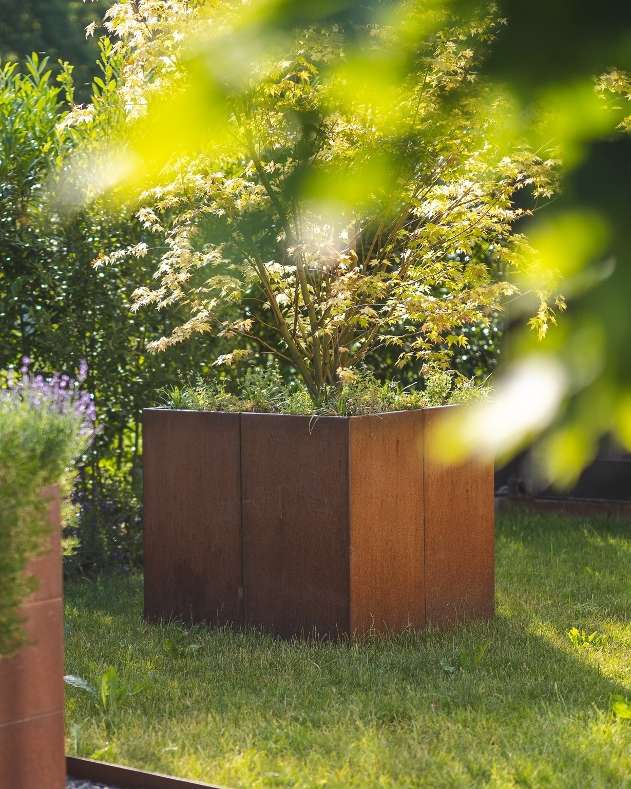 Néi an eisem Gaart zu Méchela ass dëst moduléierbaart, 90cm héicht Hochbeet am 100x100cm Corten. Flott un dësem Geméisgaart ass dat dir e je no Wonsch mat Elementer vun 25, 50 an 100cm kannt erweideren.
👉 Weider info per mail info@metal-outdoor.lu oder https://letzshop.lu/fr/products/potager-en-acier-corten-modulable-9a5973