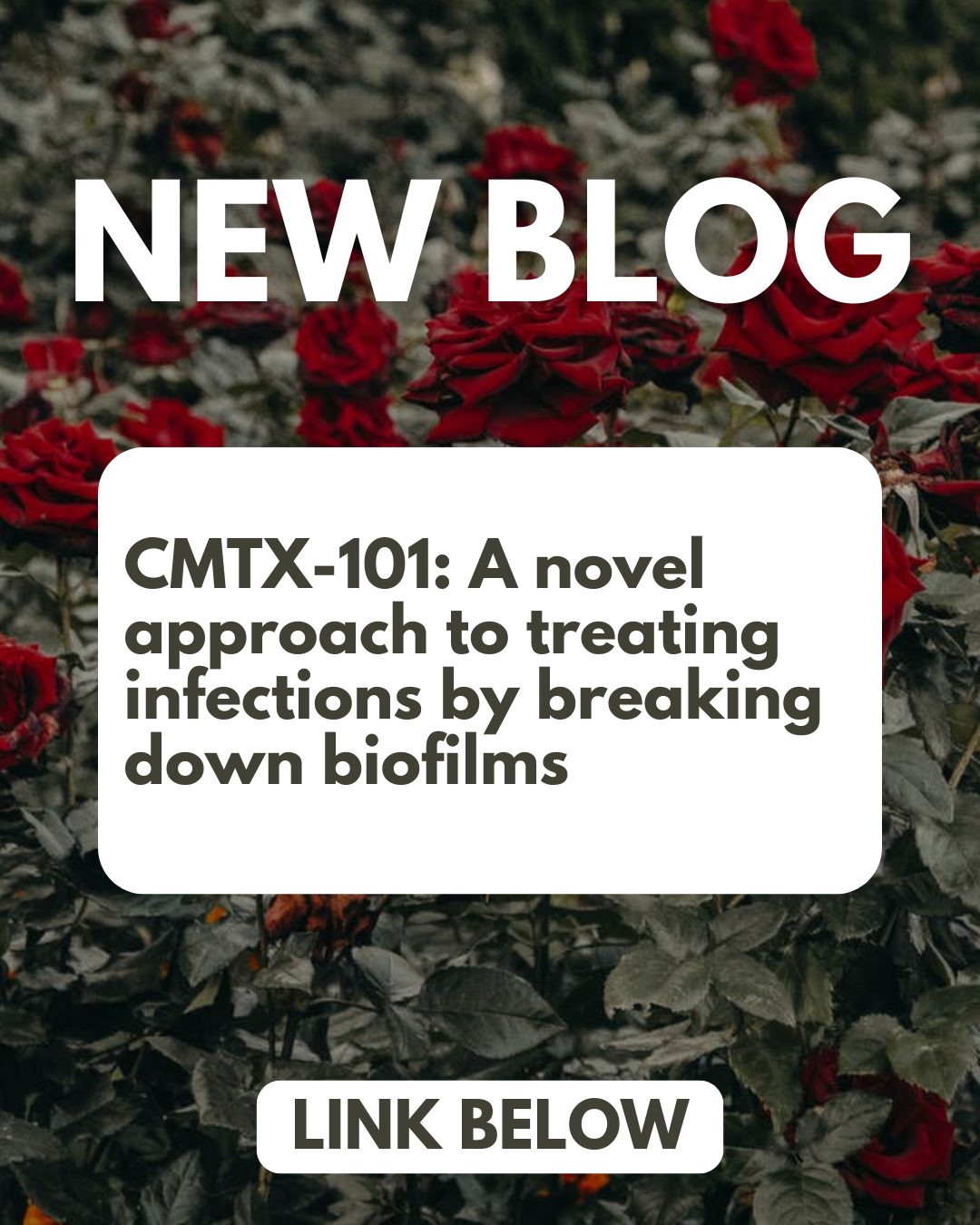 ➡Great news! Advancements in the treatment of CF are being made! Clarametyx, a clinical stage biotechnology company, is developing a novel treatment approach to fight bacterial infections called a biofilm disruptor.
‼️"If CMTX-101 demonstrates improvement in the effectiveness of antibiotic therapies and our body’s innate immune system, it could help improve the time it takes to treat an infection and eliminate it, and help reduce the need for repeated courses of antibiotics."