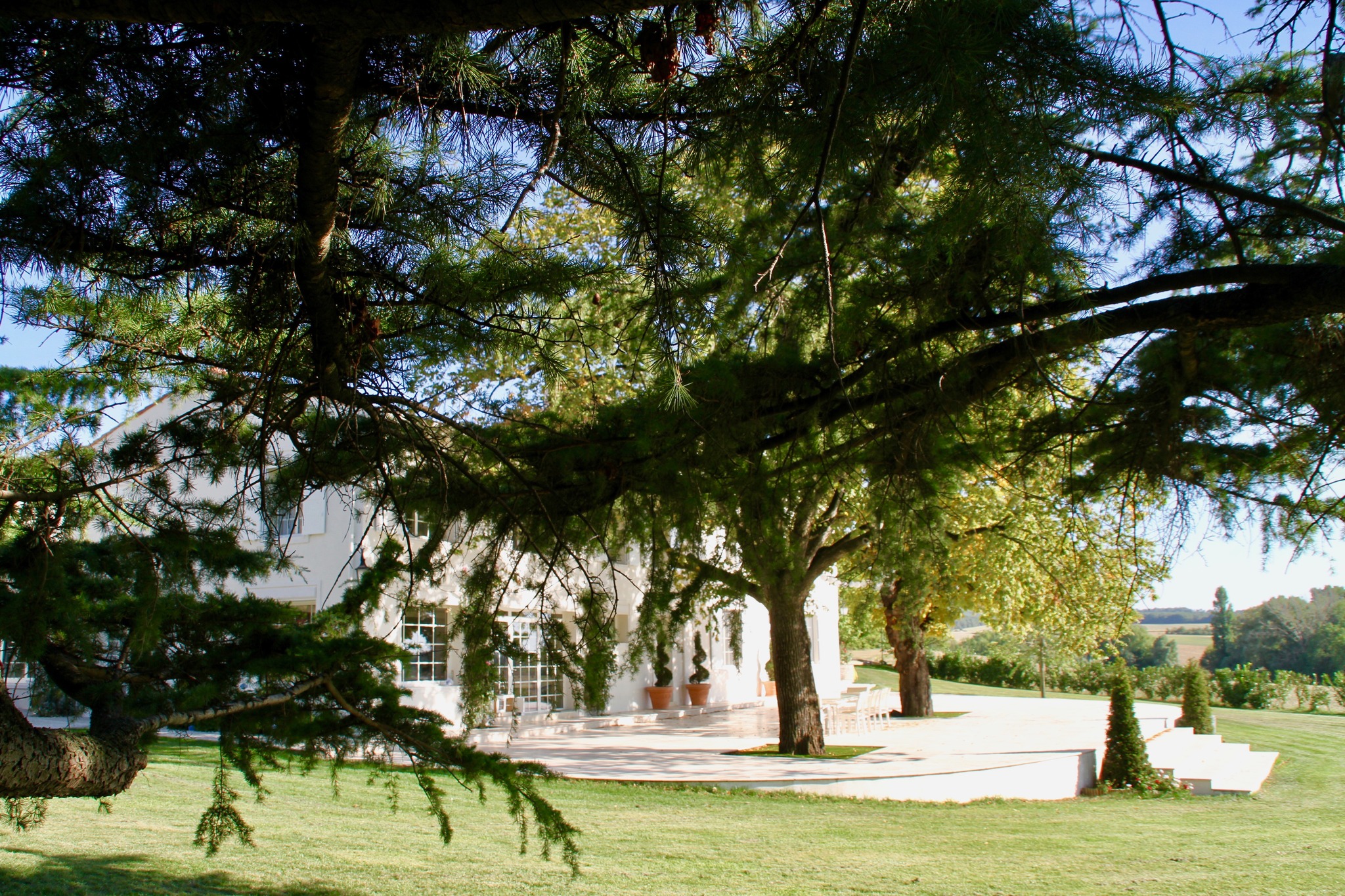 🌿 Évasion & Élégance au Domaine de Bonaveau 🌿
À la recherche d’un lieu d’exception pour un séjour inoubliable ? Découvrez le Domaine de Bonaveau, un havre de paix niché au cœur de la nature. ✨
🏡 Un cadre idyllique : Une demeure d’exception entourée de verdure et d’espaces apaisants.
🌅 Un panorama à couper le souffle : Profitez d’un cadre unique pour vous ressourcer.
🎉 Idéal pour toutes vos occasions : Séjours en famille, événements privés ou professionnels, le domaine s’adapte à toutes vos envies.
🌱 Authenticité & confort : Un parfait équilibre entre charme, nature et modernité.
📅 Réservez votre expérience dès maintenant et laissez-vous séduire par la magie du Domaine de Bonaveau ! 💫
📍 https://www.domainedebonaveau.com/
📩 Contactez-nous pour plus d’infos
#DomaineDeBonaveau #SéjourDException #NatureEtÉlégance #ÉvasionParfaite