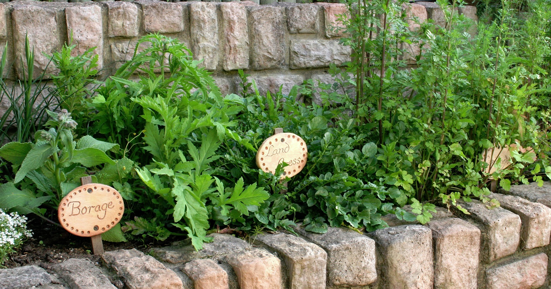 It's time to consider your summer vegetable garden, especially if you intend to grow any of your produce from seed, as you will need to sow them this month already.
Join me for this interactive and informative workshop on :
* Growing delicious fruit, vegetables and herbs organically;
* Protecting your crops effectively from monkeys if you live in KZN;
* Learning what grows well in KZN and what does not;
* Discovering easy and sustainable ways to build and maintain the
health of your soil;
* Cover cropping;
* Encouraging pollinators;
* Natural alternatives to pest control, an more!
Our next workshop is on Saturday, 26 August. R420 secures your place, including delicious refreshments and some exciting goodies.
Email info@schoolofgardendesign.com or WhatsApp Lindsay on 0824499237 with your name and email.
Book now to avoid disappointment.
