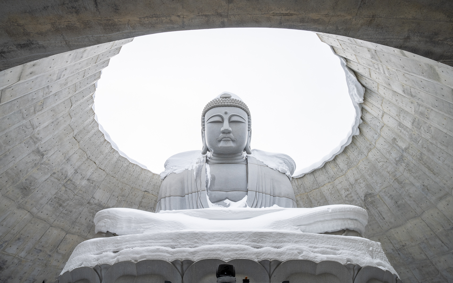 If you haven't joined us for a trip to Japan in Autumn or Winter, you really should! Both trips have different moods: the serene calm of winter landscapes and frenetic wildlife, and the season of autumn where the scenery is ablaze with vivid colors and life. Spots are filling; more information is on my website.