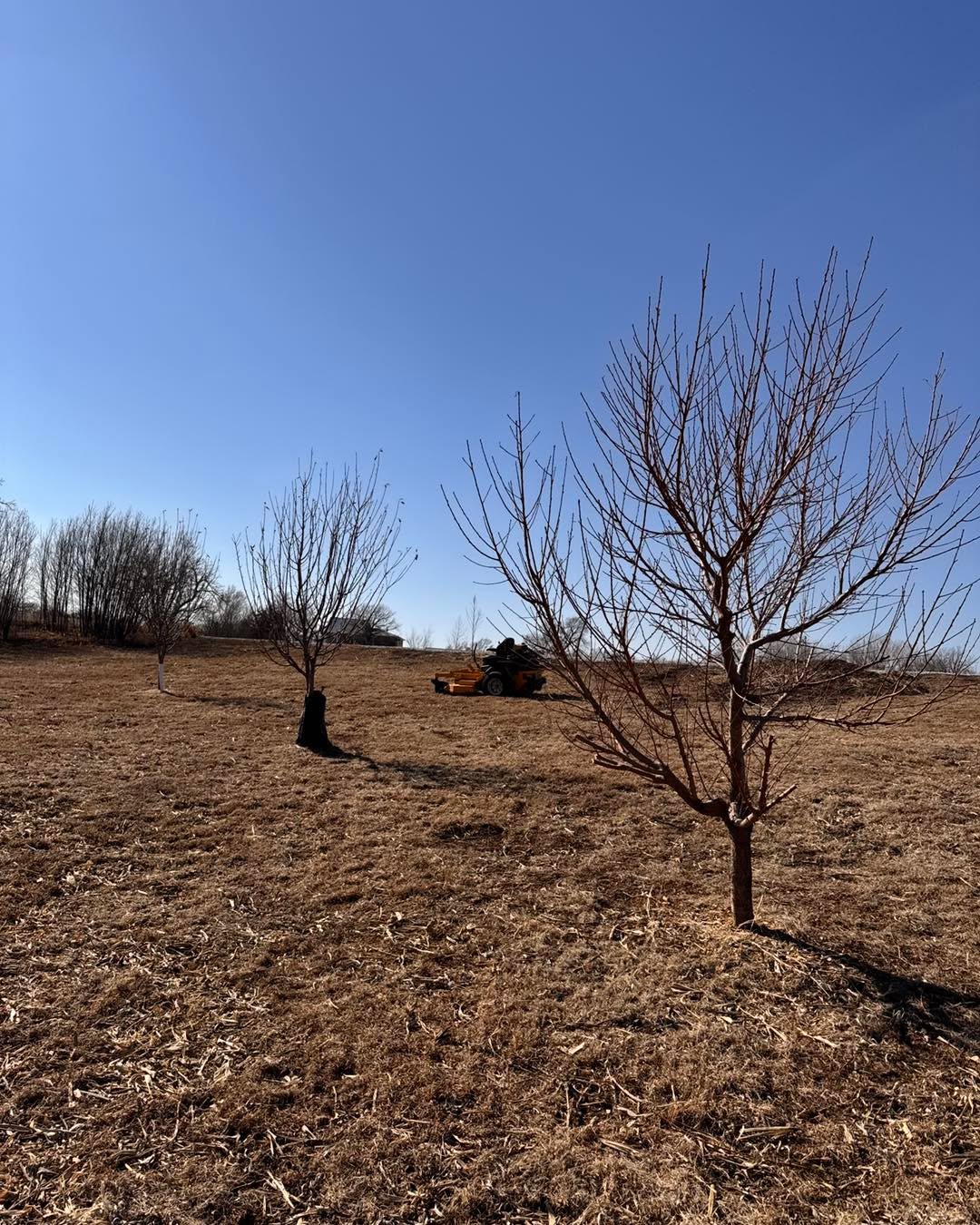 The weather is warming up, and we’re out at Little Rivers Edge RV Park in Syracuse, Nebraska, getting everything ready for another amazing season! 🚐☀️ From prepping the sites to sprucing up the grounds, we’re making sure your favorite getaway spot is better than ever.
Whether you’re planning weekend adventures or extended stays, we can’t wait to welcome you back! Stay tuned for updates on opening dates, availability, and any new improvements we’re working on.
What’s your favorite part of camping season? Drop a comment below and let us know! ⛺👇