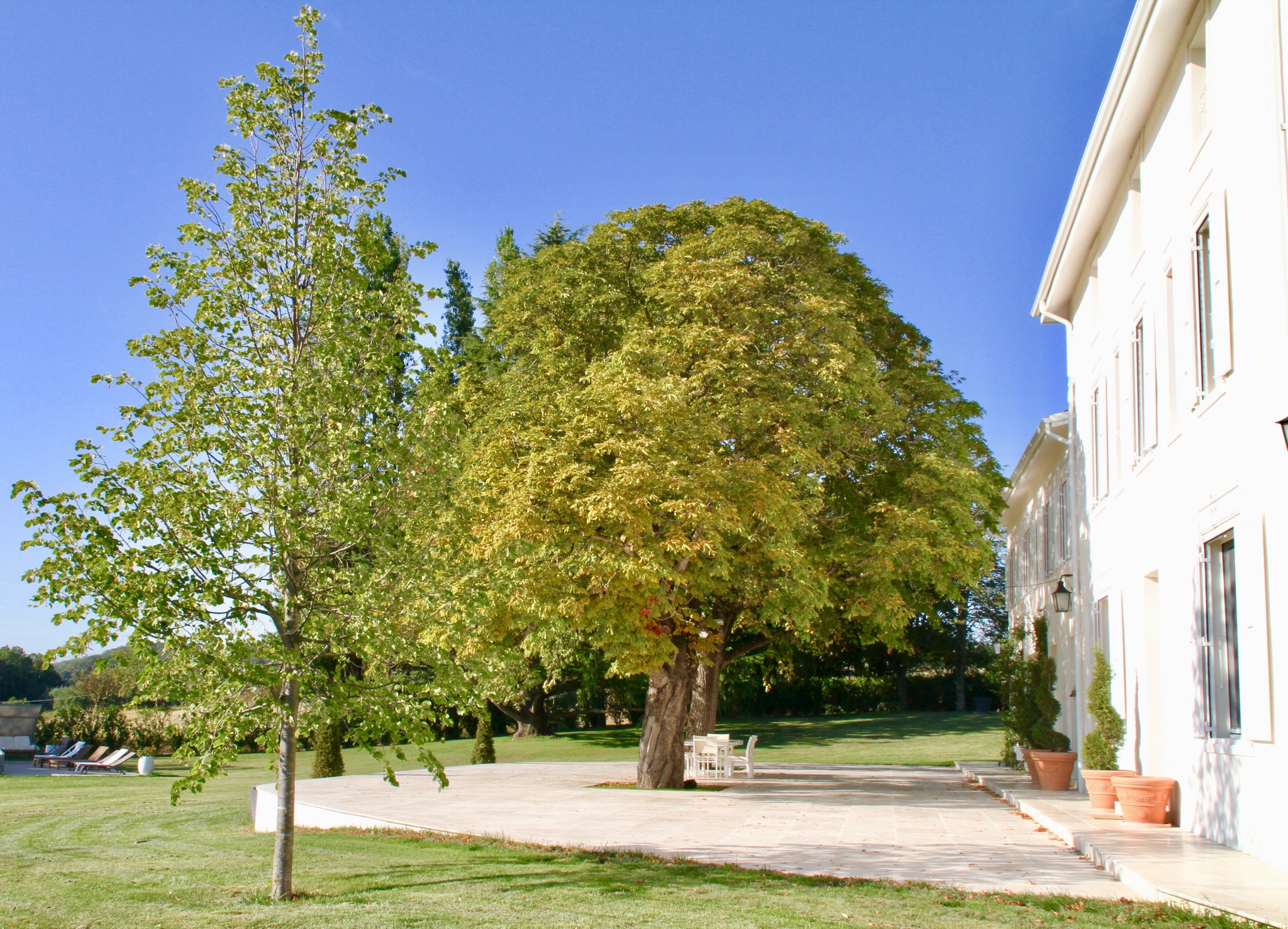 🌿 Profitez d’un instant hors du temps au Domaine de Bonaveau 🌿
Imaginez-vous ici, installé sur cette magnifique terrasse, un verre à la main, bercé par le chant des oiseaux et la douceur du soleil… ☀️✨
Au Domaine de Bonaveau, chaque séjour est une parenthèse de sérénité. Que ce soit pour un week-end en famille, une retraite entre amis ou un événement spécial, notre espace extérieur vous promet détente et convivialité.
✔️ Un cadre unique au cœur de la nature
✔️ Un espace idéal pour se ressourcer et partager
✔️ Une vue imprenable sur un paysage apaisant
📅 Réservez dès maintenant votre séjour et laissez-vous séduire par l’élégance et la tranquillité du domaine.
📩 Contactez-nous pour plus d’informations !
#DomaineDeBonaveau #TerrasseDeRêve #SéjourDException #évasionparfaite