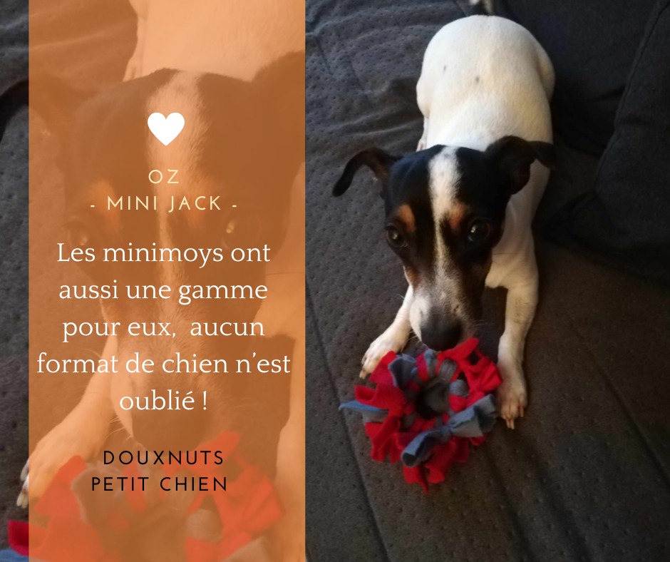 Le chouchou des Pot’à pattes : le Douxnut 🍩 !
Moelleux, robuste, fun… Nos Douxnuts sont le jouet que chiens et chats adorent ! 🐶🐱
🐾 Fabriqué à partir de textiles de seconde main ♻️
🐾 Testé et approuvé par nos testeurs (Osko dit que c’est trop d’effort, mais Rhéa valide 💪)
🐾 Disponible en plusieurs tailles et couleurs
Tu veux gâter ton poilu ? C’est par ici 👉 www.lazouzoulerie.com