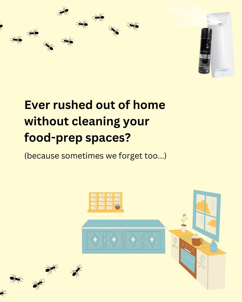 Rush hour mornings, anyone? 🏃♀️🏃♂️ We've all been there - rushing out the door, leaving behind a trail of crumbs and a half-eaten snack. Little do we know, these tiny food remnants are like a red carpet for uninvited guests: ants! 🐜🐜🐜
Let's break the cycle and keep our homes ant-free. A clean kitchen and dining area is the first line of defense! 🛡️
#ecofriendly #pestcontrol #rainyday #homecare #ecopy #OLS