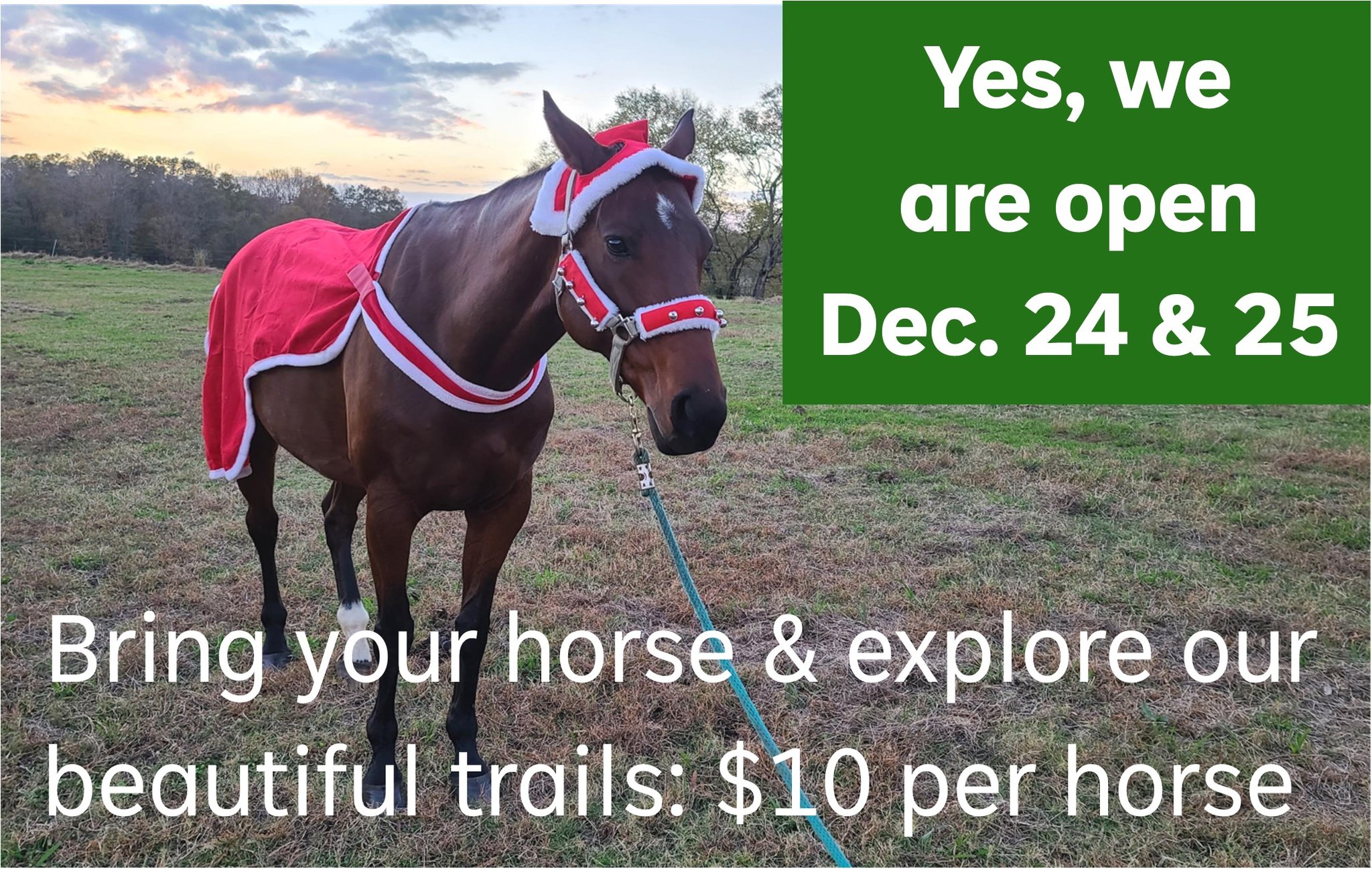 You can drop the money into the box next to the silos. Negative Coggins required. Call us if you have any questions. Looks like temps will be mid-50s. #openforchristmas #centralalabama #horsetrails