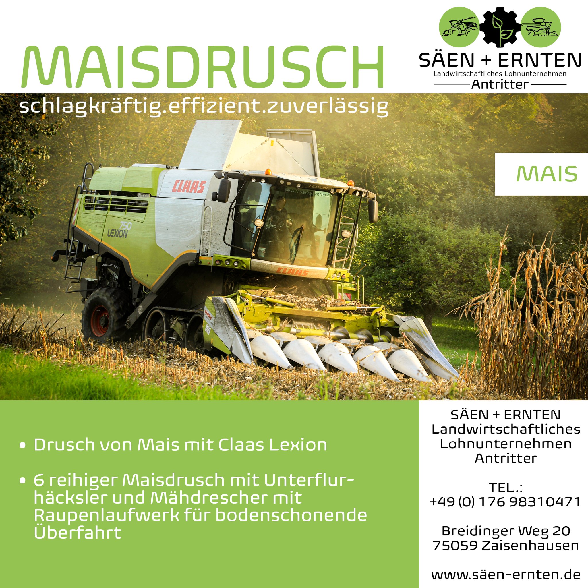 Maisdrusch 🌽
Wir stellen unsere Leistungen vor! 👨🌾
.
.
.
.
.
#ernte #ernte2023 #claasdeutschland #claas #mitclaasmachtdieerntespaß #Mais #landwirtschaft #landscapephotography #landwirt #lohnunternehmen #dreschen #mähdrescher #sommer #sunset #sonnenuntergang #badenwürttemberg #kraichgau #bier #landwirtschaftistleidenschaft #fullgas #foryou #lohner #lohnunternehmenantritter