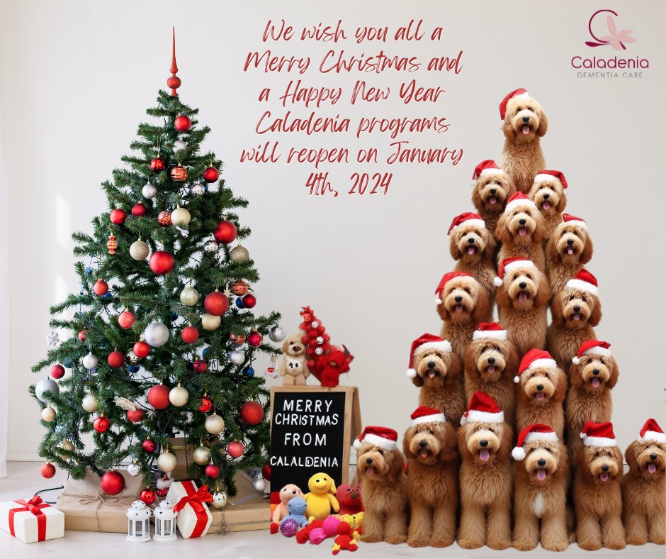 The Team at Caladenia wish all our friends and supporters a wonderful Christmas and New Year.
The team are enjoying a well-deserved break, and will return early in the New Year.
Our first Program back will ne Thursday January 4th, 2024.
(Staff will be available Tues 2nd and Wed 3rd if you need anything)
Warmest Wishes to you all.
The Caladenia Team 🎄🎄🎄🎄🎄