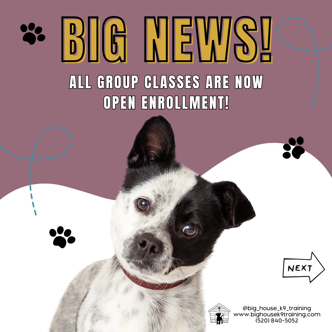 šØ Big news from Big House K9 Training! šØ
Weāre now offering OPEN ENROLLMENT for all group classesāno more waiting for the next cycle to begin! Our very first Beginner Skills session kicks off this Saturday at 10:30 AM, and weād love to see you there. š¾
The cost is $200 +tax for six 1-hour sessions, designed to help you and your dog build real-life skills and confidence through consistent, positive training. With our open format, you can jump in at any timeābut in order to graduate, both you and your dog must attend all six sessions. This ensures you get the full benefit of the program and finish strong together! šŖš¶
This format is perfect for busy dog parents, changing schedules, or anyone eager to get started now. Each week brings fresh challenges, new distractions, and continued growthāplus, make-ups are available if you miss a class!
š Call us at (520) 840-5052 or visit www.bighousek9training.com to reserve your spot. Letās get trainingāyour pupās transformation starts this weekend!
#bighousek9training #OpenEnrollment #DogTrainingAZ #BeginnerDogTraining #positivereinforcement #CasaGrandeDogs #CoolidgeAZ #dogtrainingclasses #DogMomLife #TrainWithConfidence #DogTrainerNearMe #ArizonaDogTrainer #CasaGrandeAZ #PinalCounty #fearfreetraining #fearfreedogtraining #bhk9trainer #bhk9train #azdogs #pinalcountydogtrainer