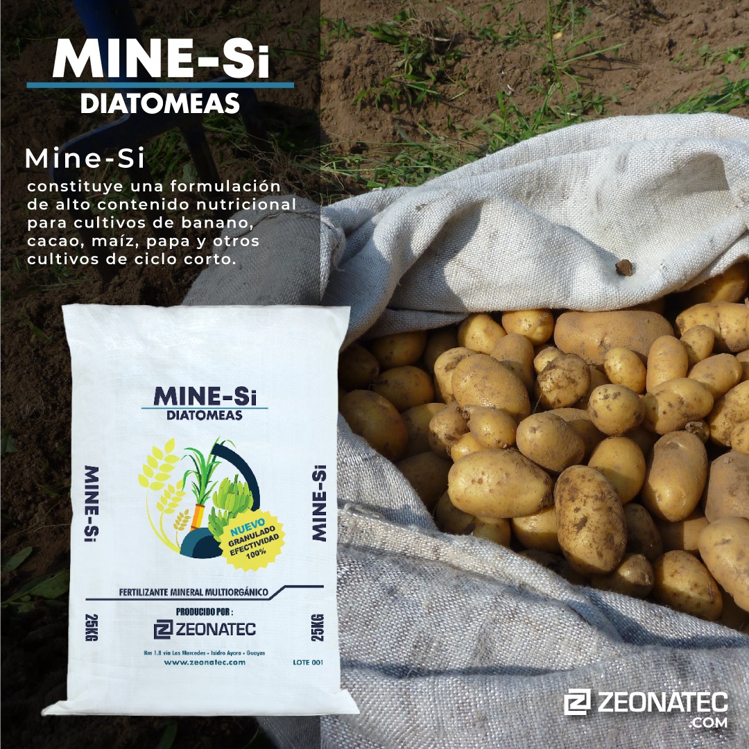 Uno de los tantos beneficios de Mine-Si, para saber más visita: https://www.zeonatec.com/tierradediatomeas-zeolita - #ultimahora #mineria #agricultura #acuicultura #noticias