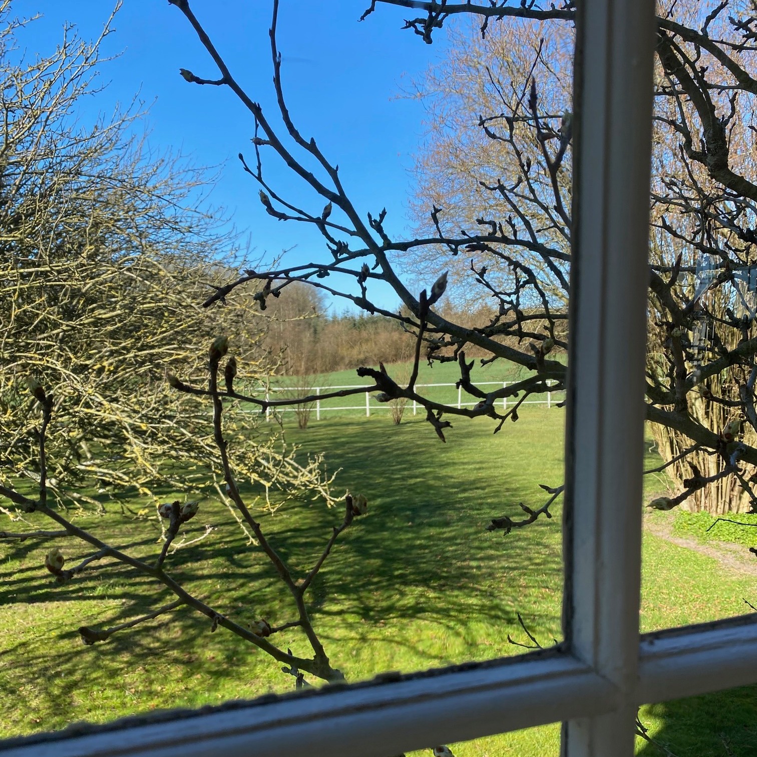 PÅSKEFERIE 🐣
Det hele springer ud — og det skal nydes! Derfor sender vi vores skønne Team Work2gether på en velfortjent påskeferie i hele næste uge.
Det betyder at arbejdscaféen er lukket fra mandag den 14. april til og med mandag den 21. april.
Vi glæder os til at se jer igen den 22. april 💚