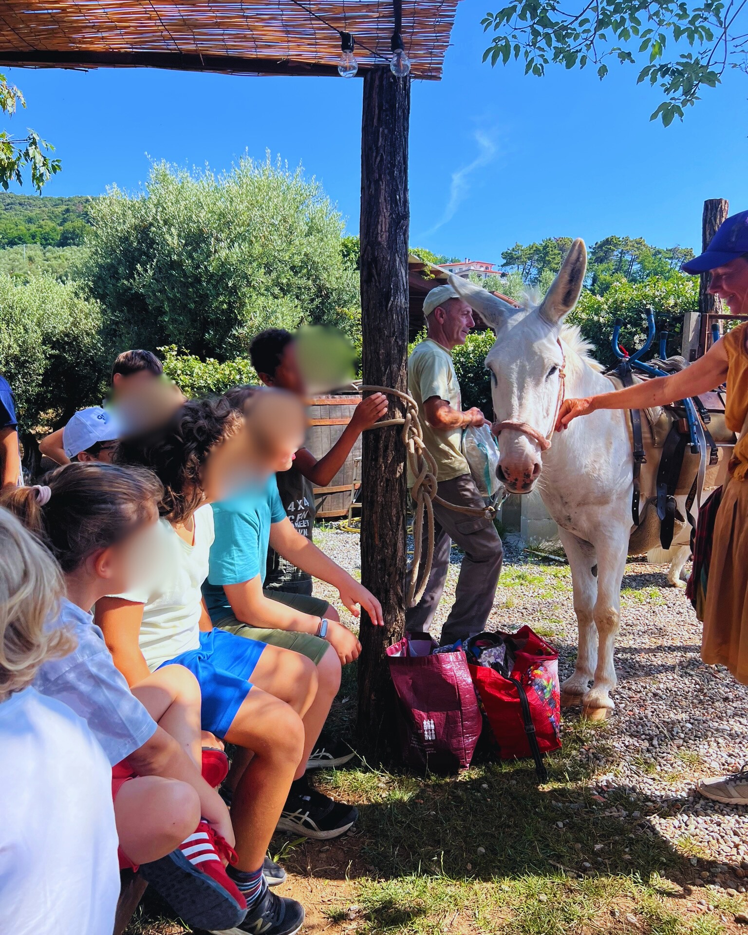 🌞WILDLIFE SUMMER CAMPS: ISCRIZIONI APERTE! 🌞
Regala ai tuoi bambini un'estate indimenticabile! 🌳🐾
Attività principali:
🐴 Interazione con gli animali
🎨 Laboratori creativi
🏊♂️ Piscina
🤹 Giochi di gruppo
📚 Aiuto compiti
🍳 Cooking class
🇬🇧 English in the farm
🧘 Yoga e mindfulness
📅 Date: 11 giugno - 29 agosto
📅 Open Days: 10, 24 e 31 maggio dalle 15 alle 18
Non perdere l'occasione di far vivere ai tuoi bambini un'esperienza unica e formativa! 🌟
Iscriviti ora! 📞
Scarica il modulo su https://www.ilbardotto.com/summer-camps
#CampiEstivi #Natura #Bambini #Estate2025 #Divertimento #Apprendimento
