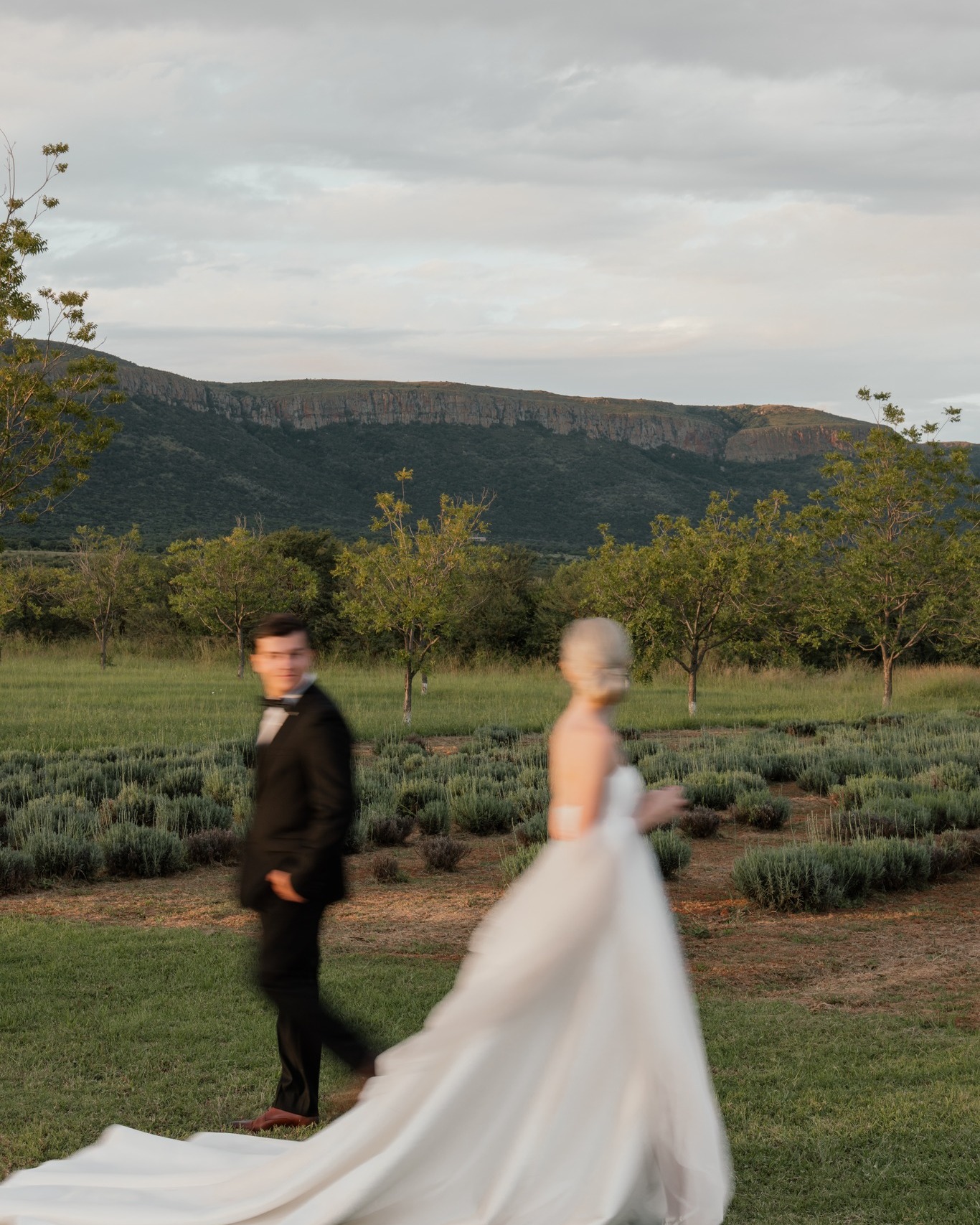 A whole day of soft overcast skies… and then, just at the right moment, the sun peeked through, setting the scene for pure beauty. From effortless love to cinematic drama, these two are a whole vibe.
Bride: @kayla_bester_fouche
Groom: @bester.hugo
Venue: @thenutfarmvenue
Dress: @sila_bride
#bridetobe #weddingphotography #weddinginspo #wedding #weddingideas #justmarried #goldenhour #sceniclove